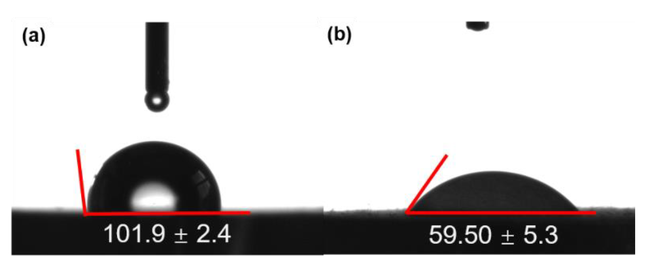 Coatings 11 01425 g008