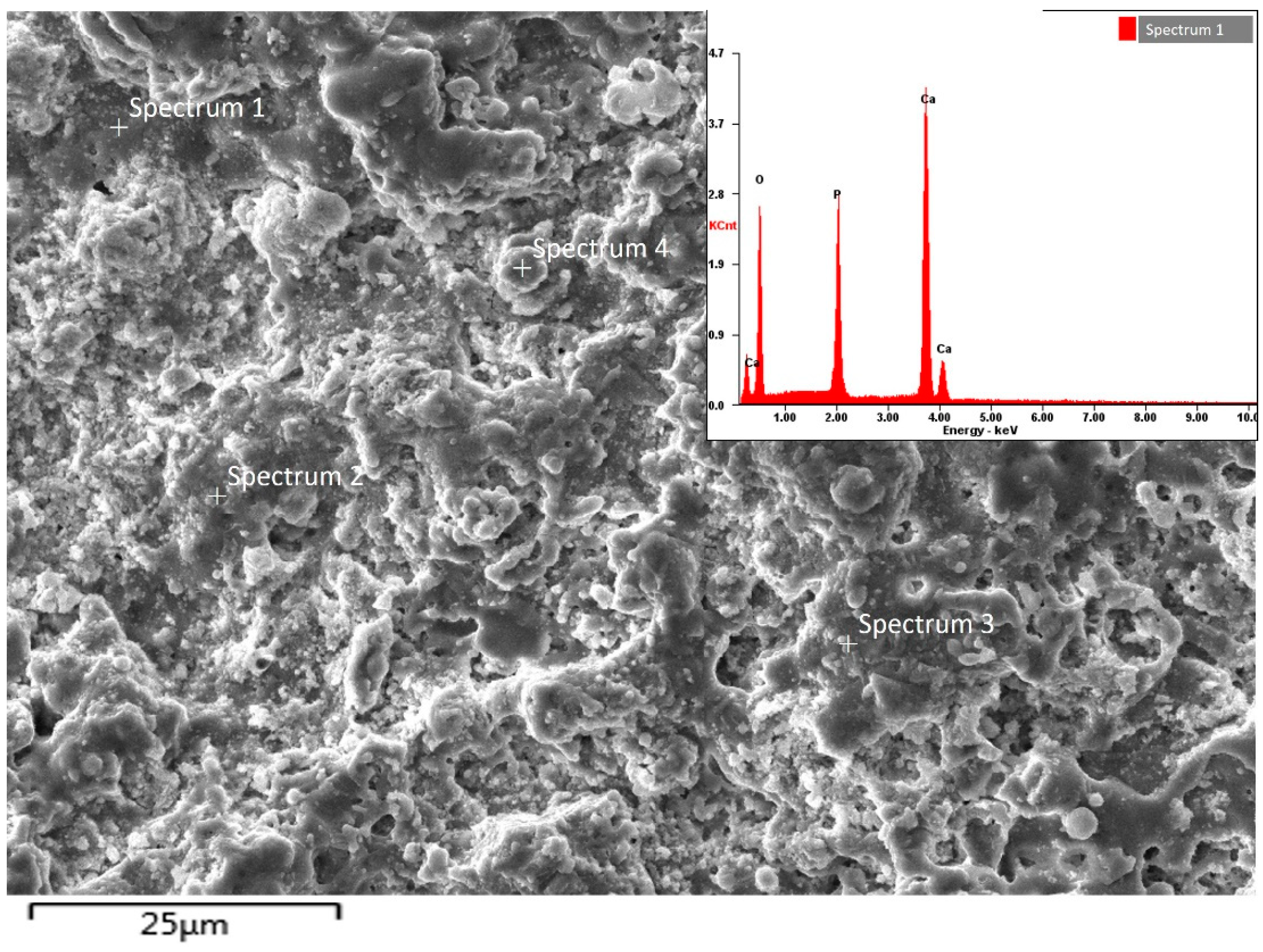 Coatings 11 01433 g010
