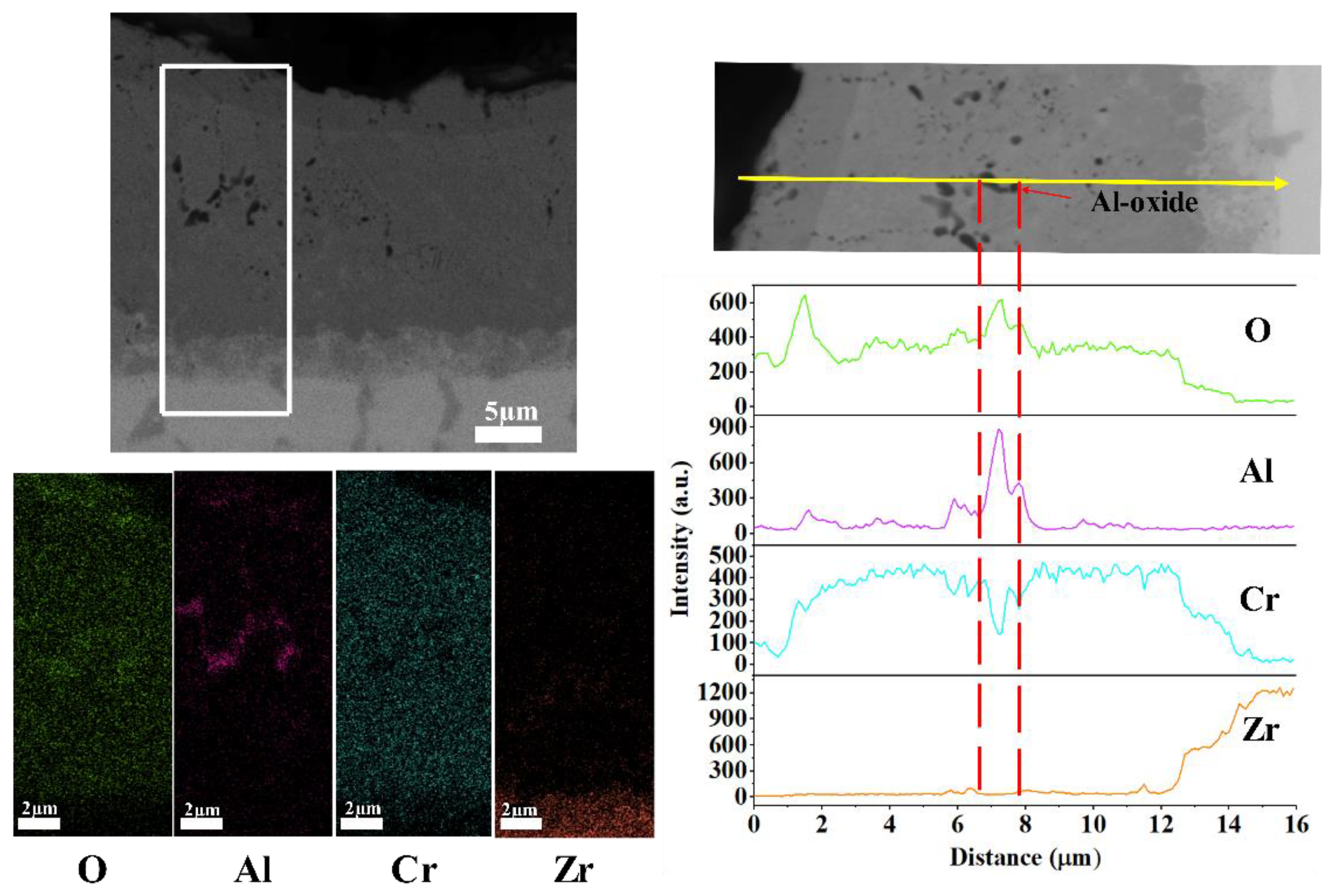 Coatings 11 01434 g006