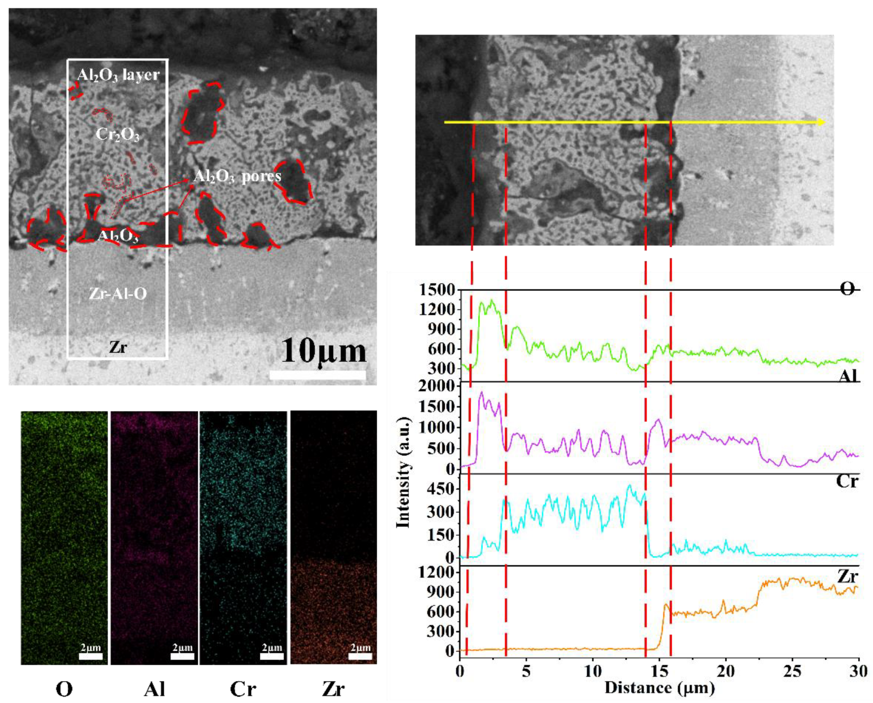 Coatings 11 01434 g008