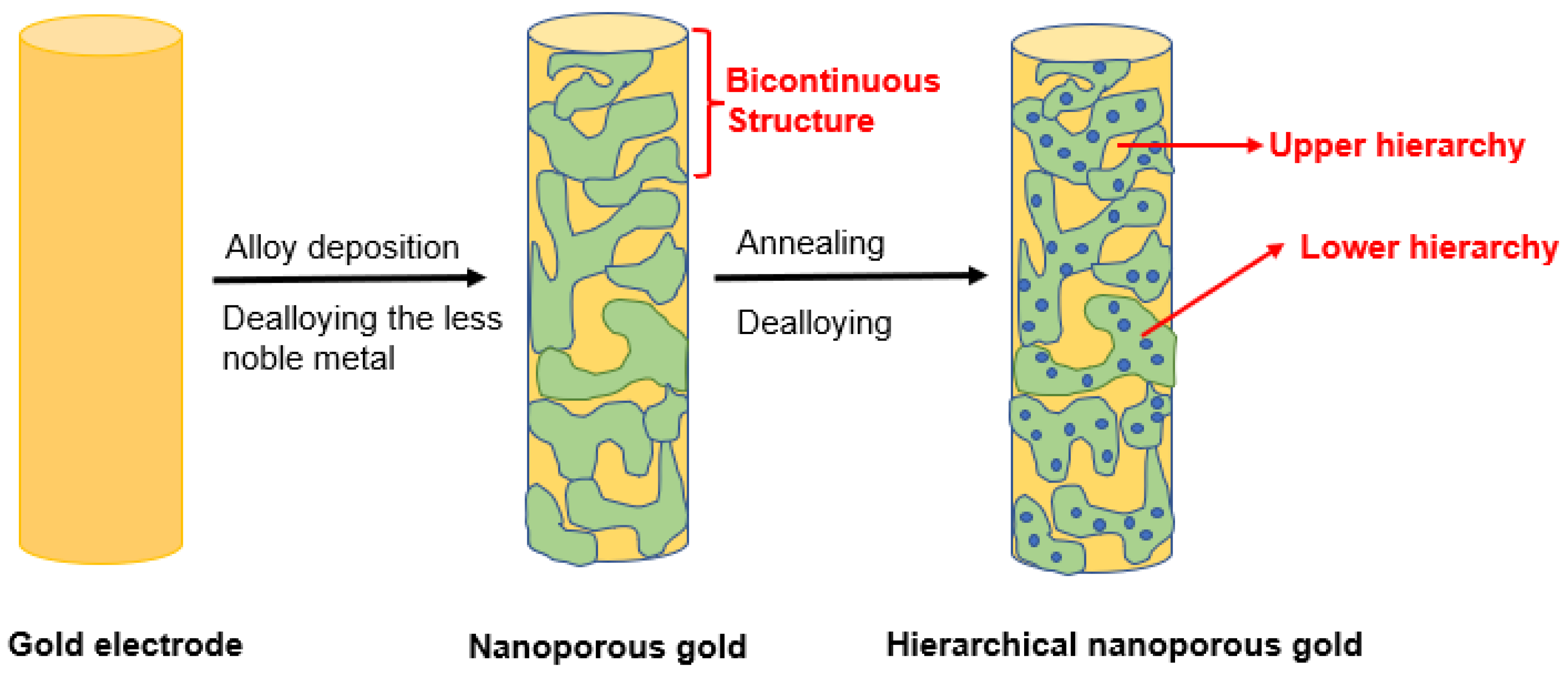 Coatings 11 01440 g003