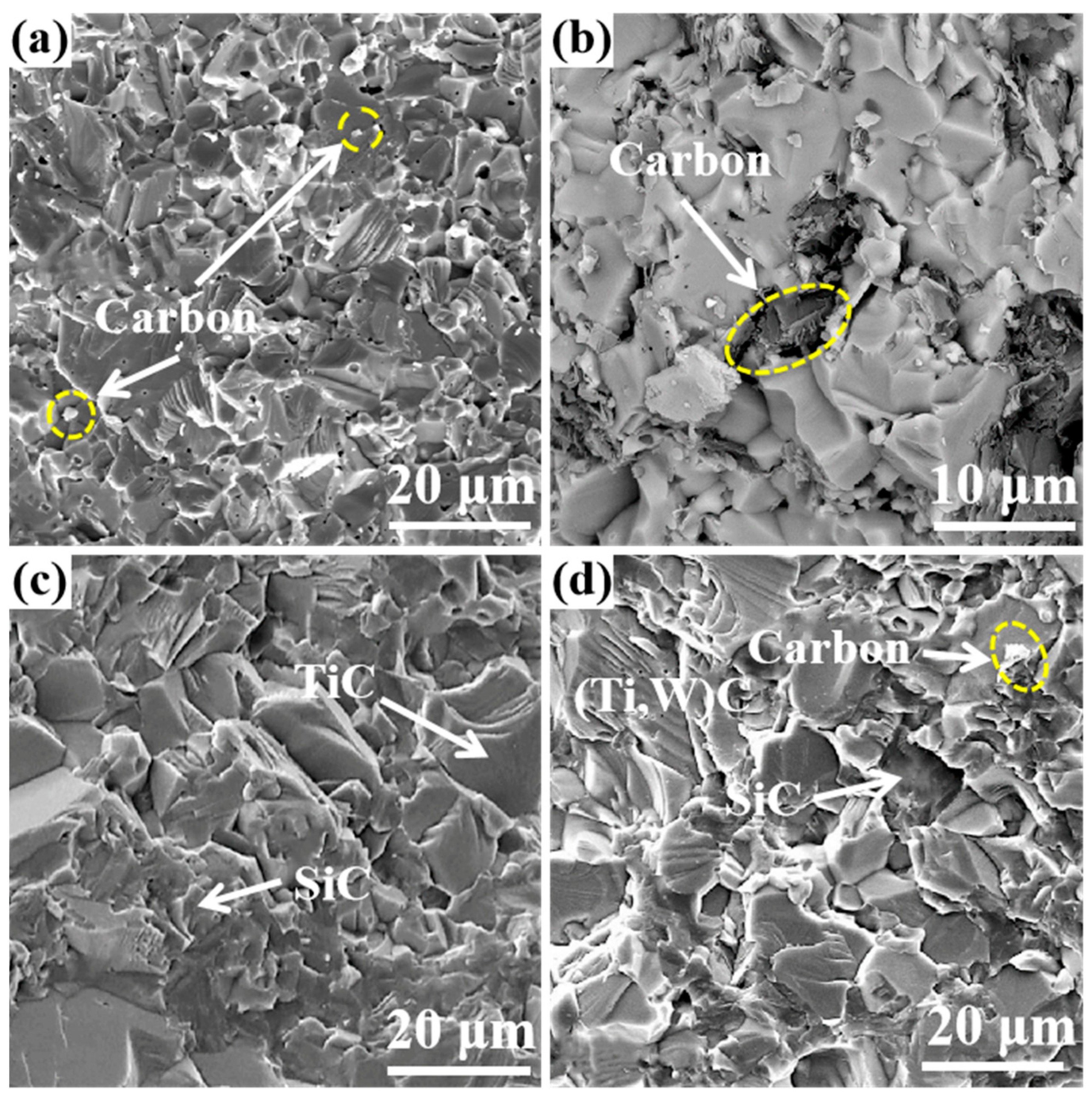 Coatings 11 01444 g005