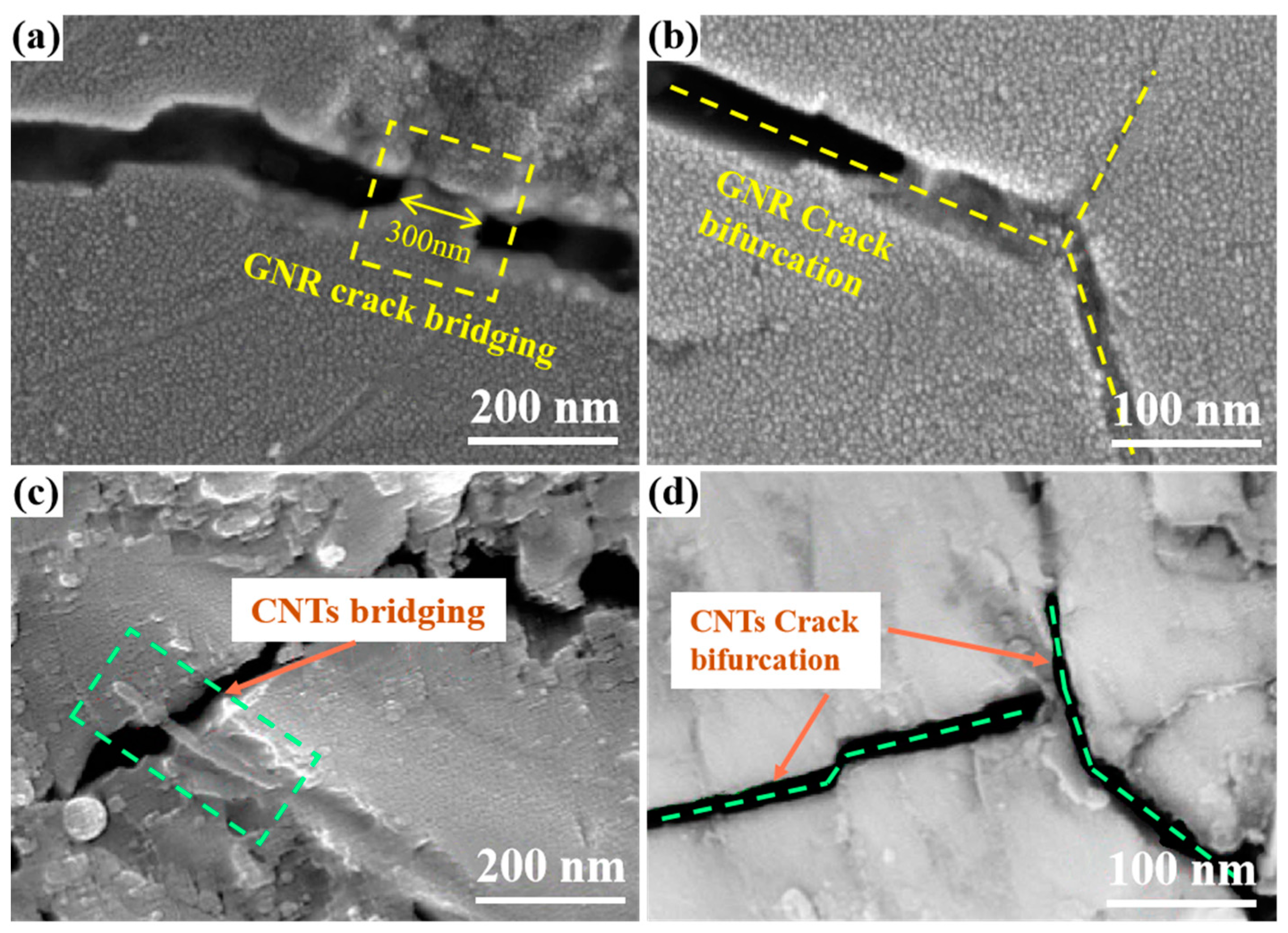 Coatings 11 01444 g012