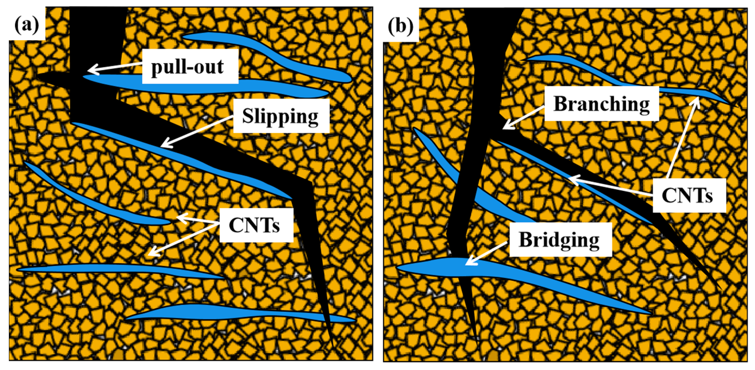 Coatings 11 01444 g013