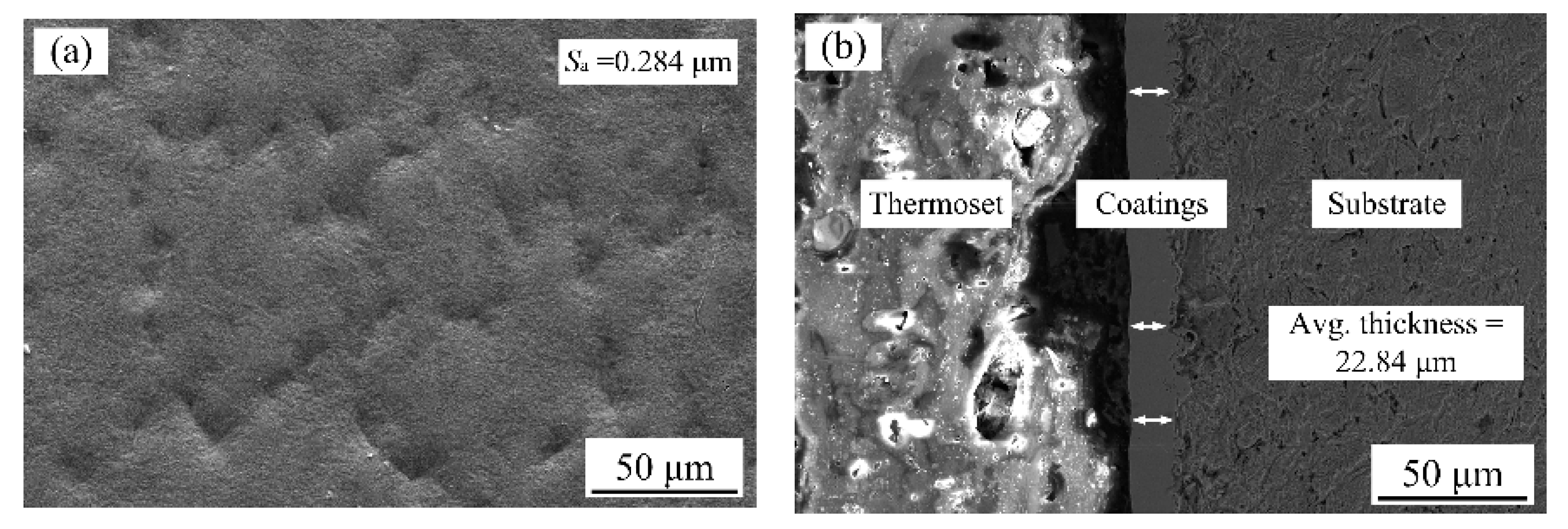 Coatings | Free Full-Text | Wettability, Microhardness, Wear and 