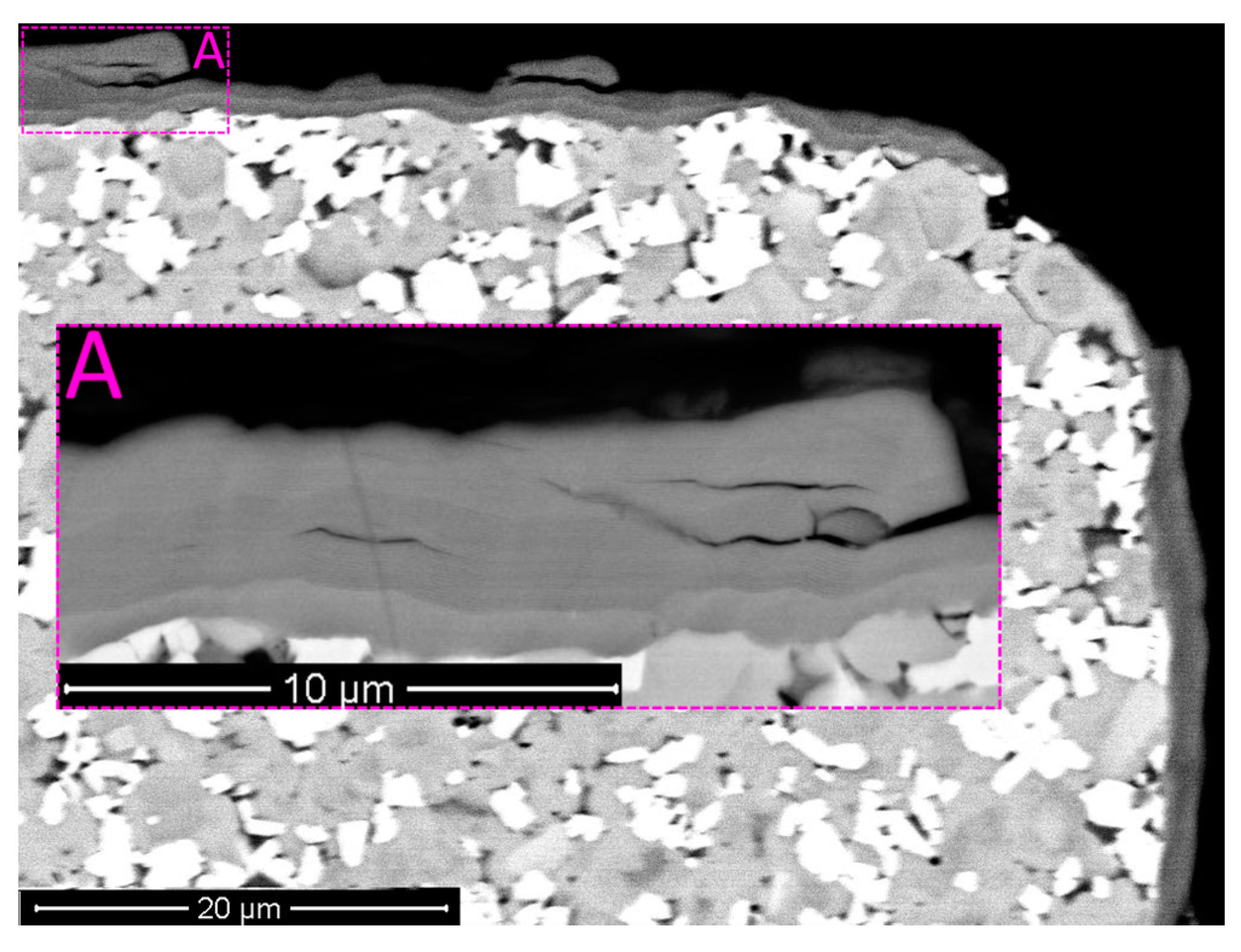 Coatings 11 01471 g006 Coatings 11 01471 g006