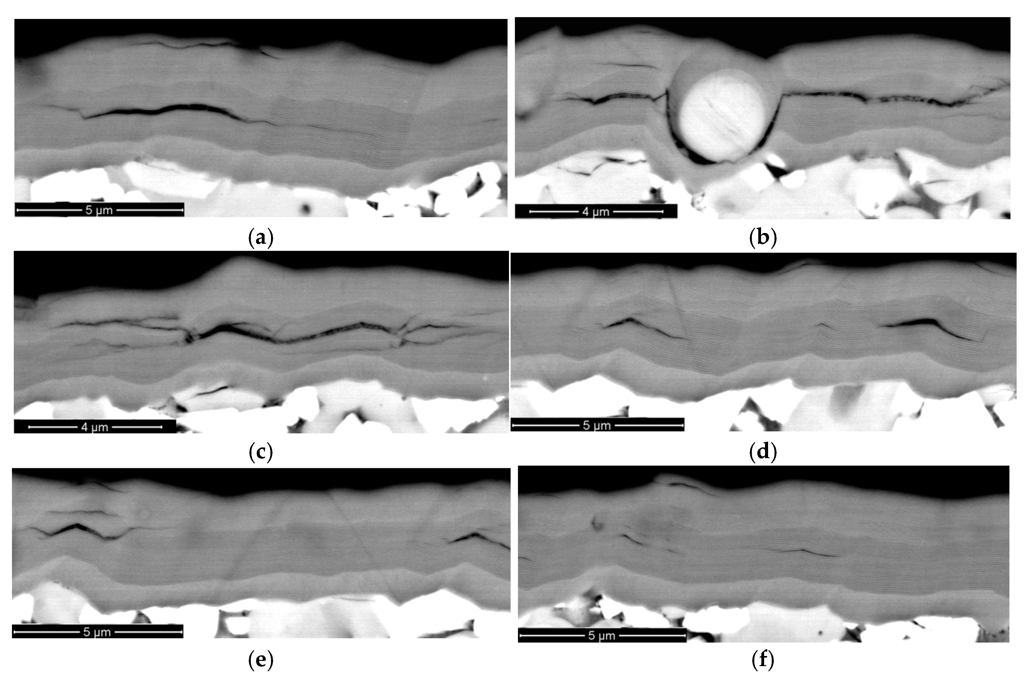 Coatings 11 01471 g007 Coatings 11 01471 g007