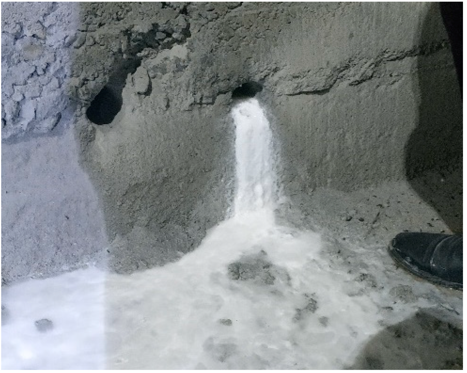 Coatings 11 01493 g001