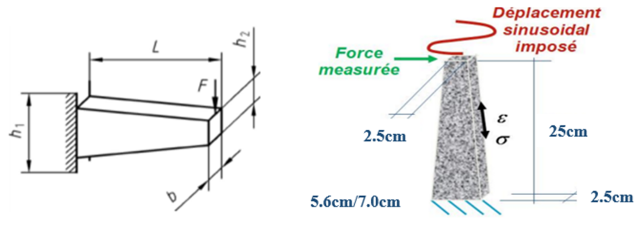 Coatings 11 01502 g003