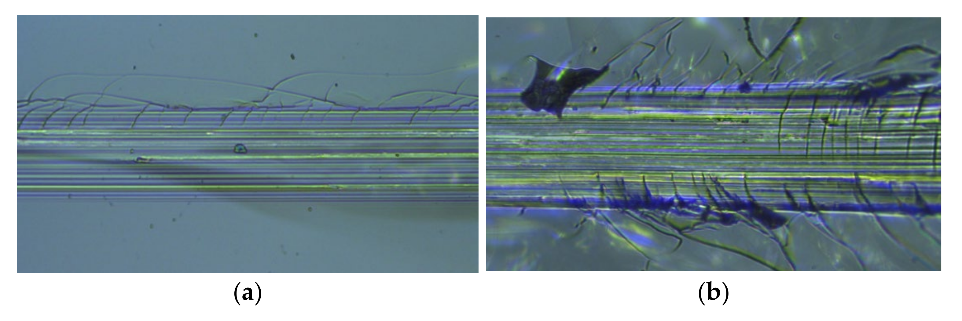 Coatings 11 01507 g012