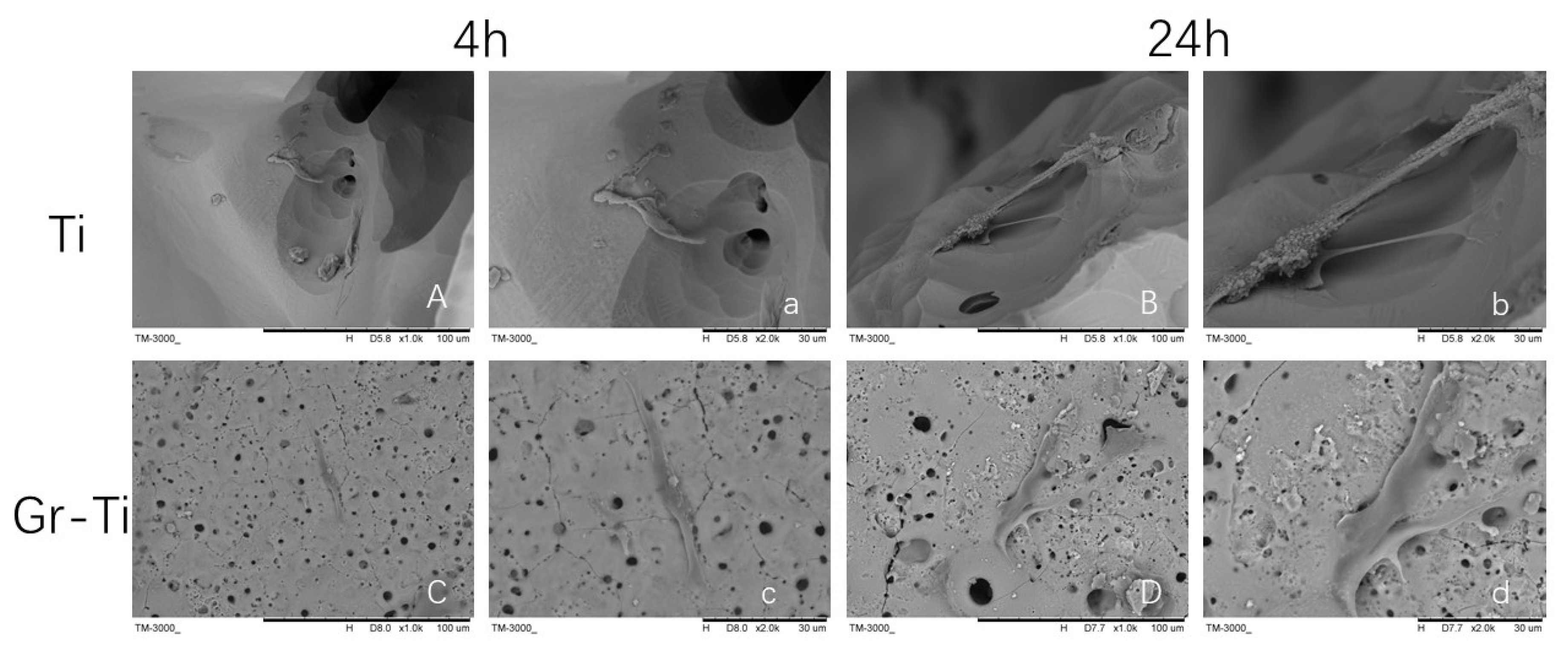 Coatings 11 01509 g005