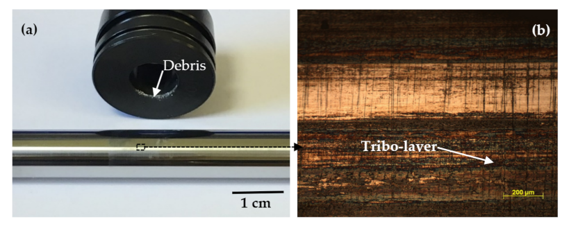 Coatings 11 01511 g004