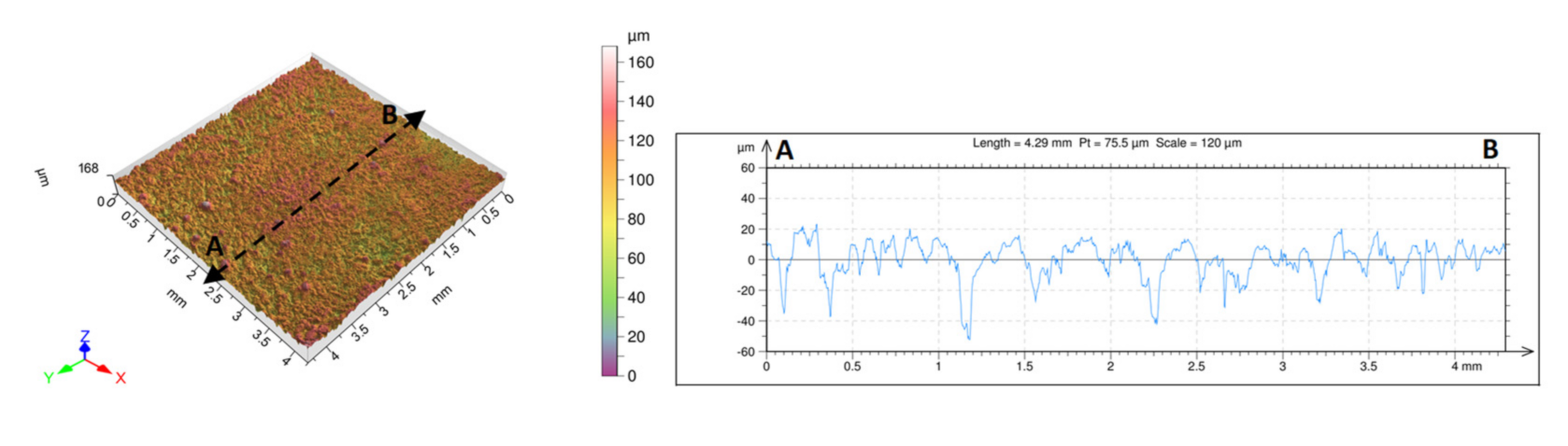 Coatings 11 01511 g010