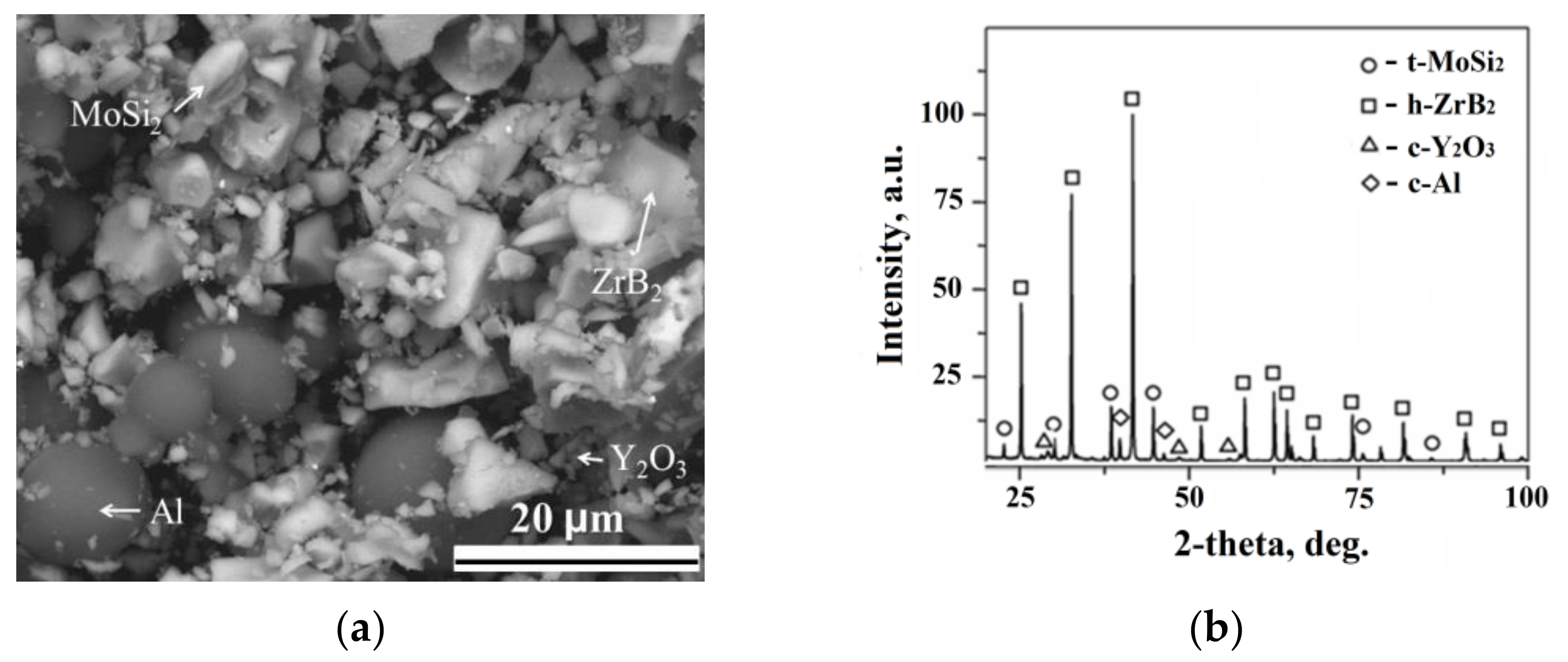 Coatings | Free Full-Text | Oxidation Behavior and Microstructural 