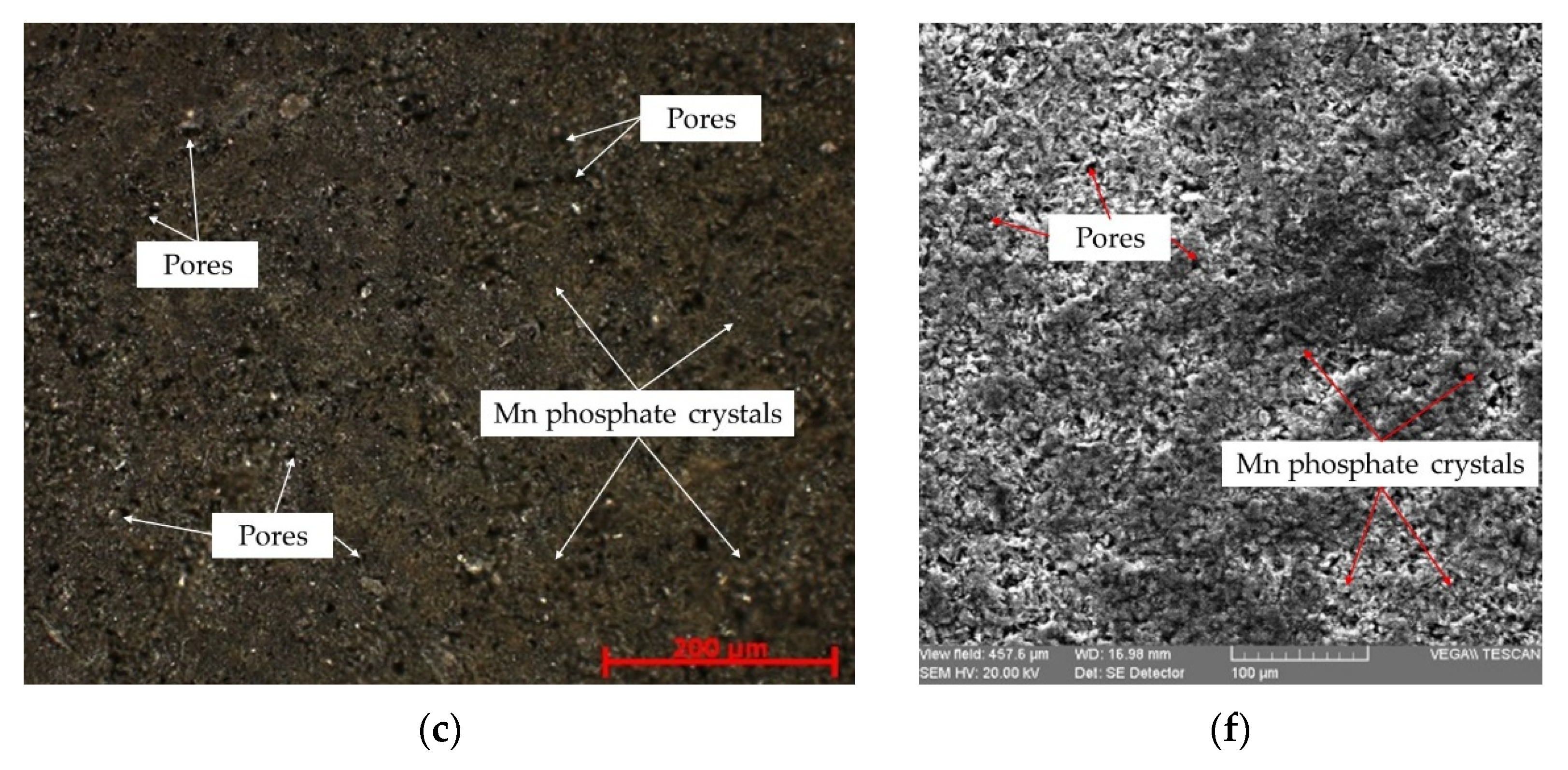 Coatings 11 01542 g003b