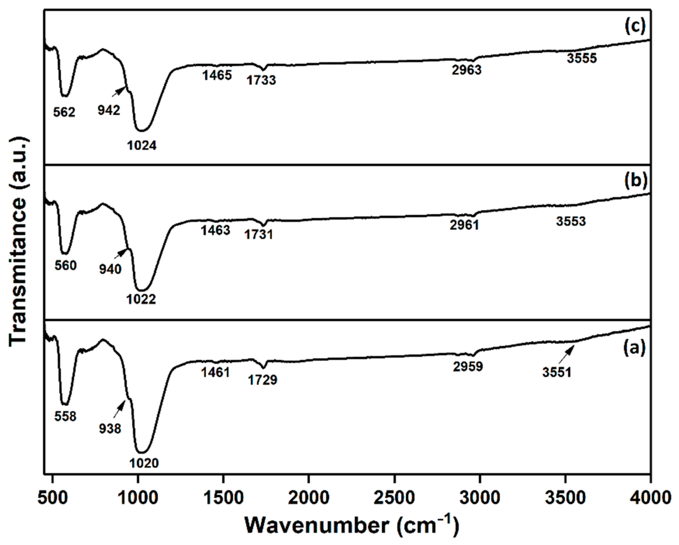 Coatings | Free Full-Text | Fabrication of Novel Chitosan&ndash