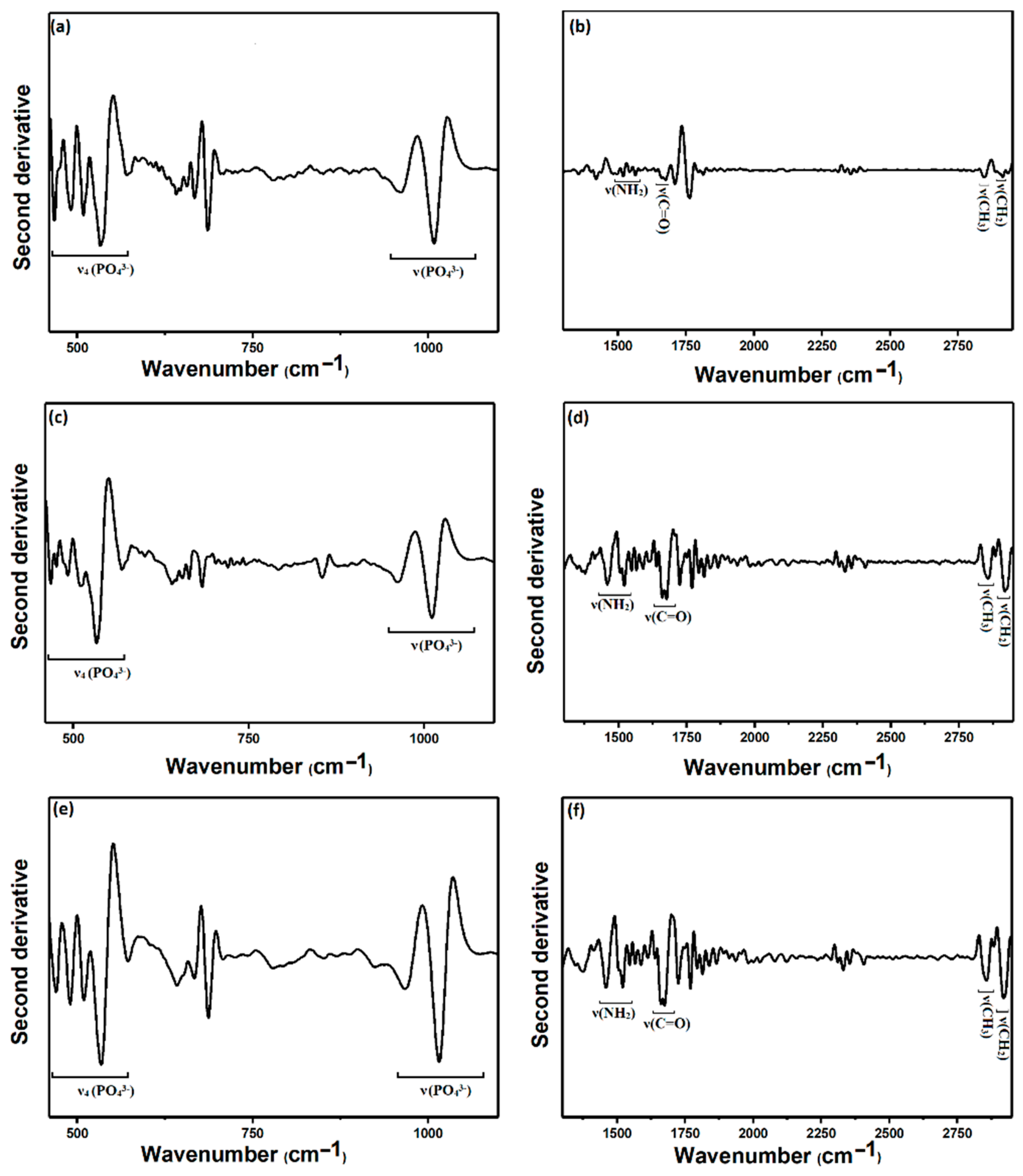 Coatings 11 01561 g002