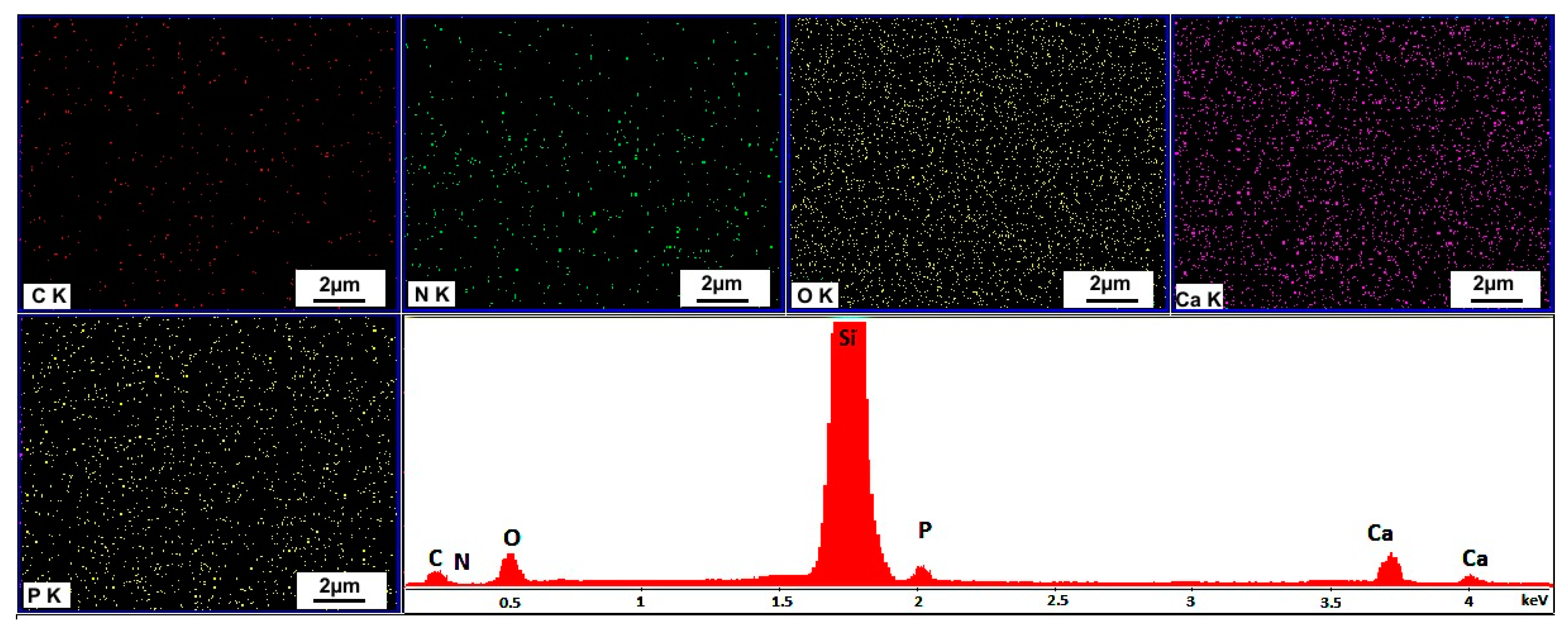 Coatings 11 01561 g004