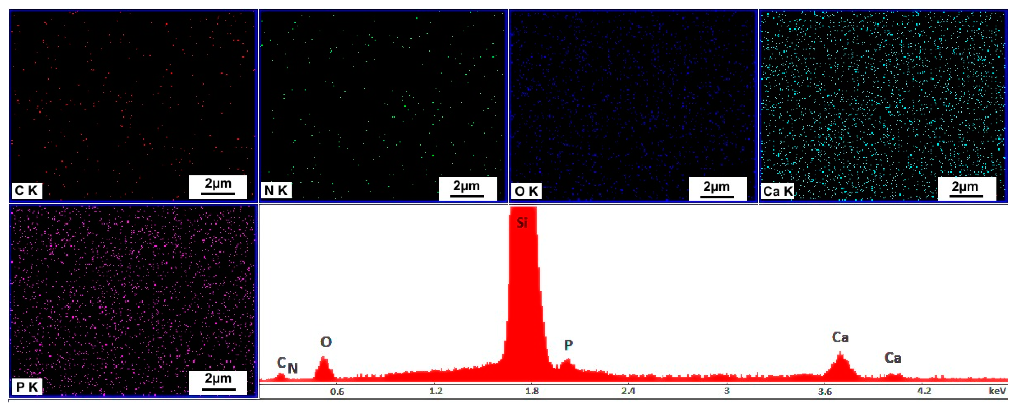 Coatings 11 01561 g005
