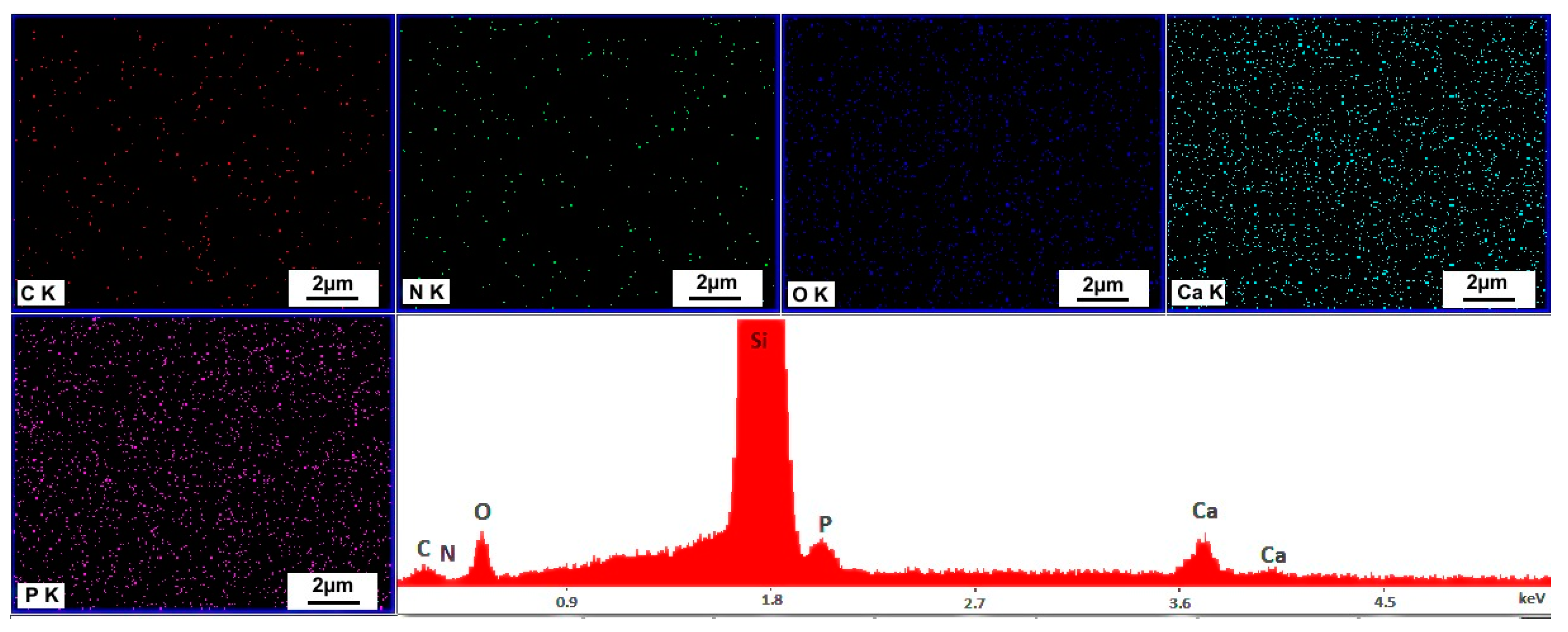 Coatings 11 01561 g006