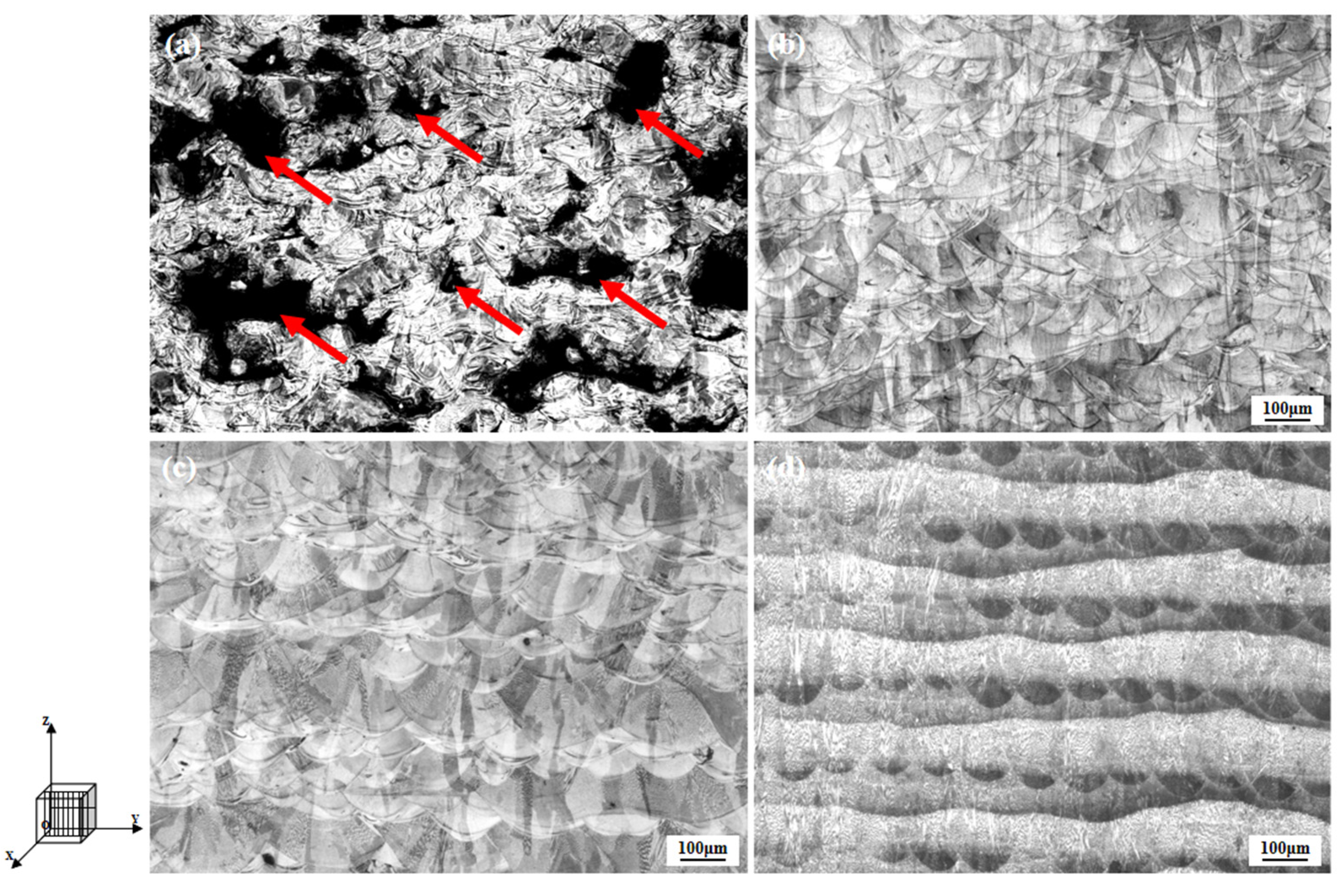 Coatings 11 01562 g008