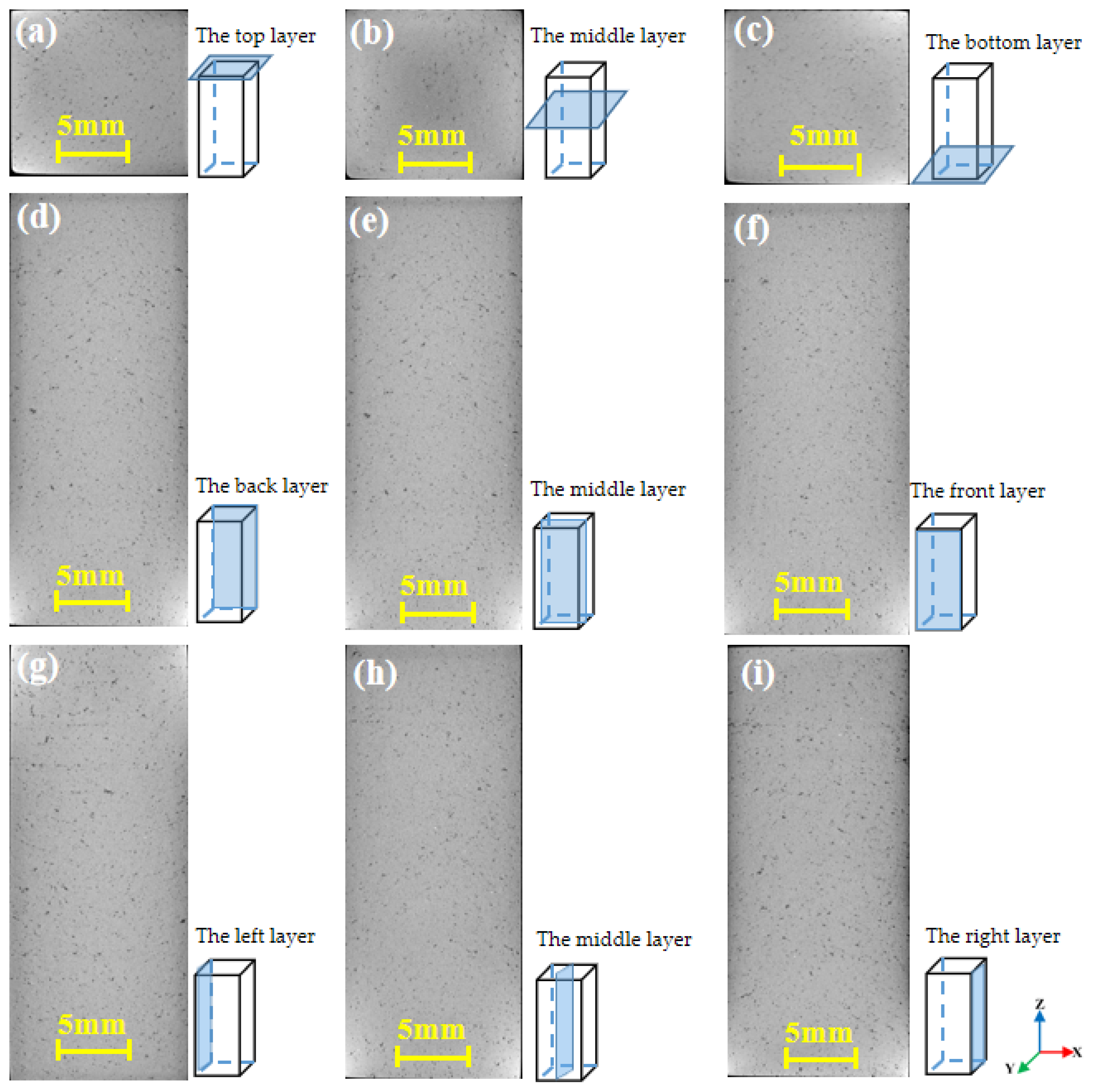 Coatings 11 01562 g011