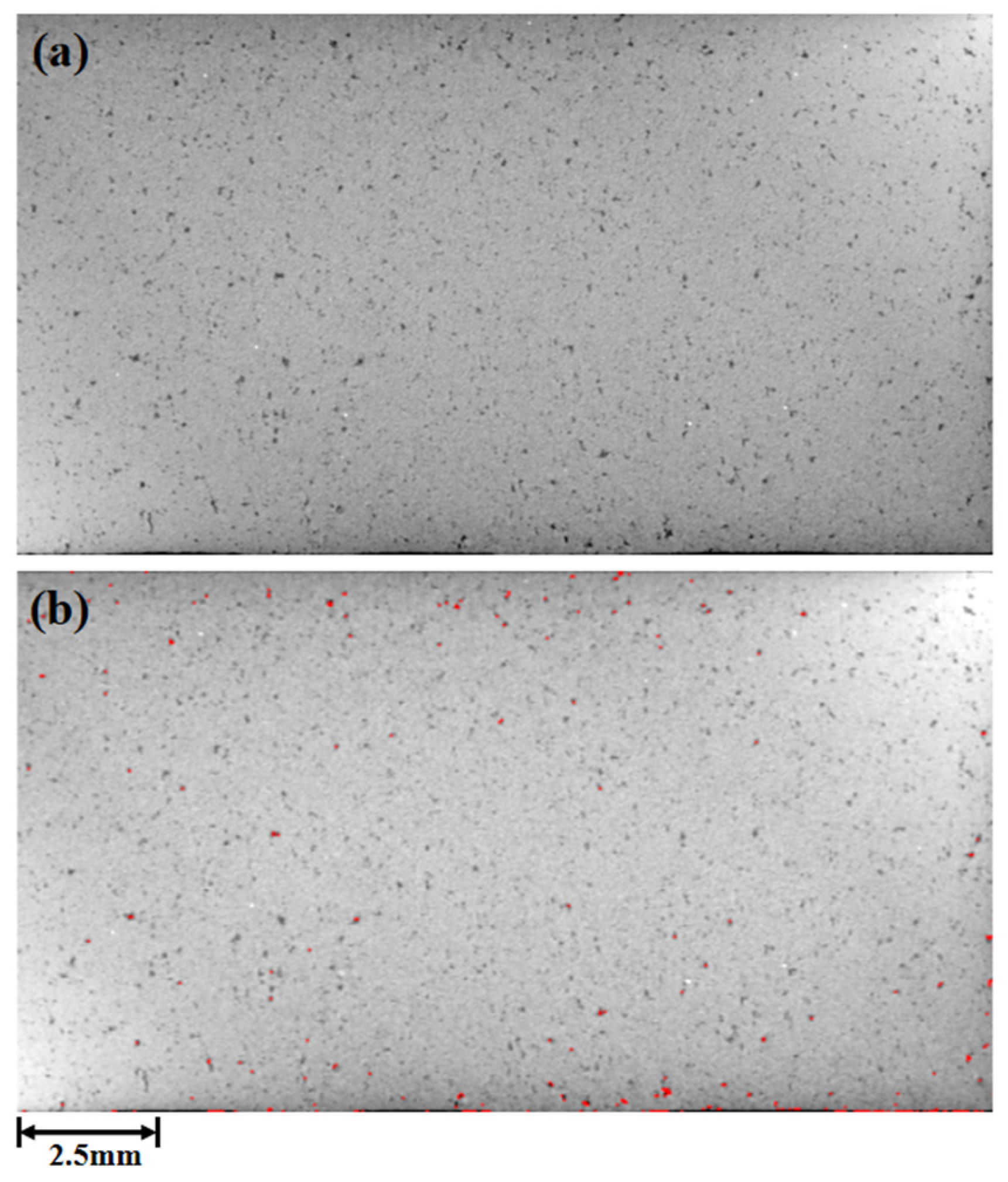 Coatings 11 01562 g013