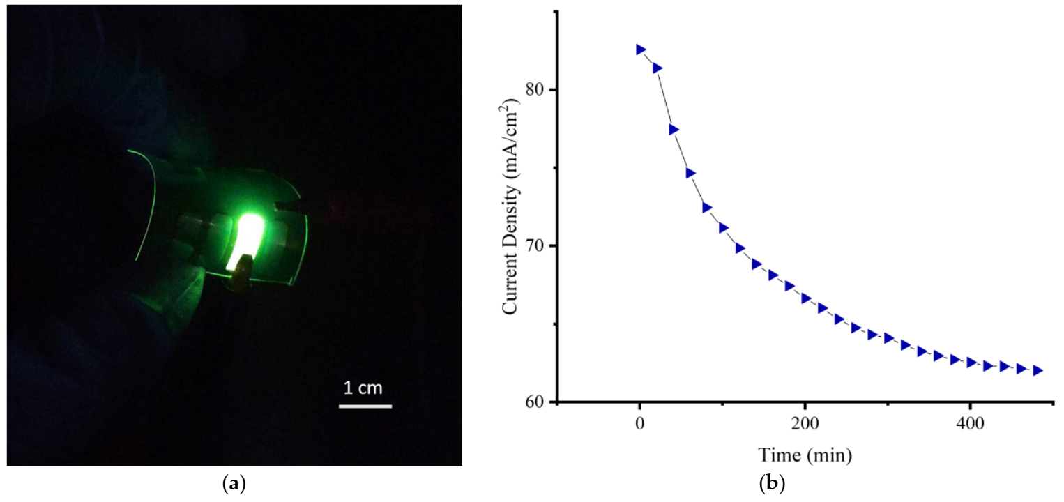 Coatings 12 00026 g009