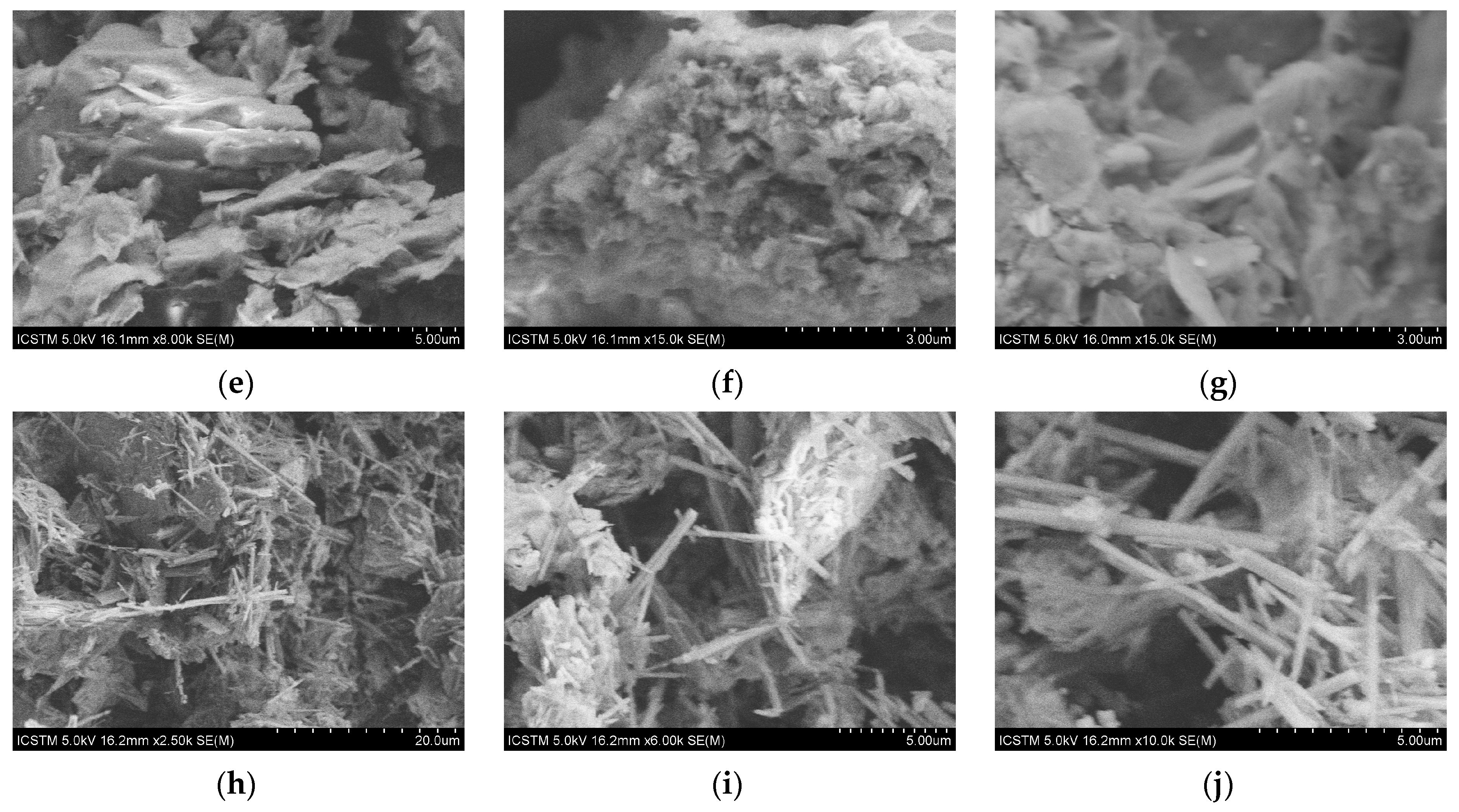 Coatings 12 00045 g003b
