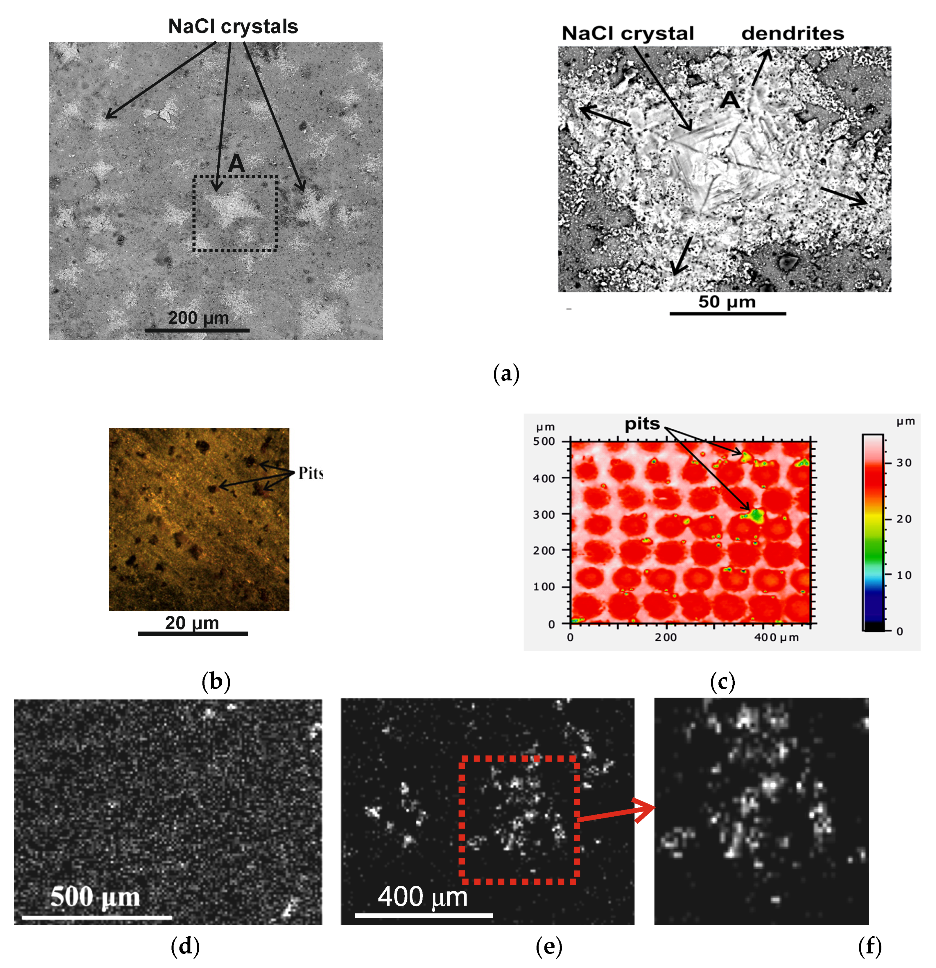 Researchers Made a Camera That's the Size of a Grain of Salt - GV Wire -  Explore. Explain. Expose