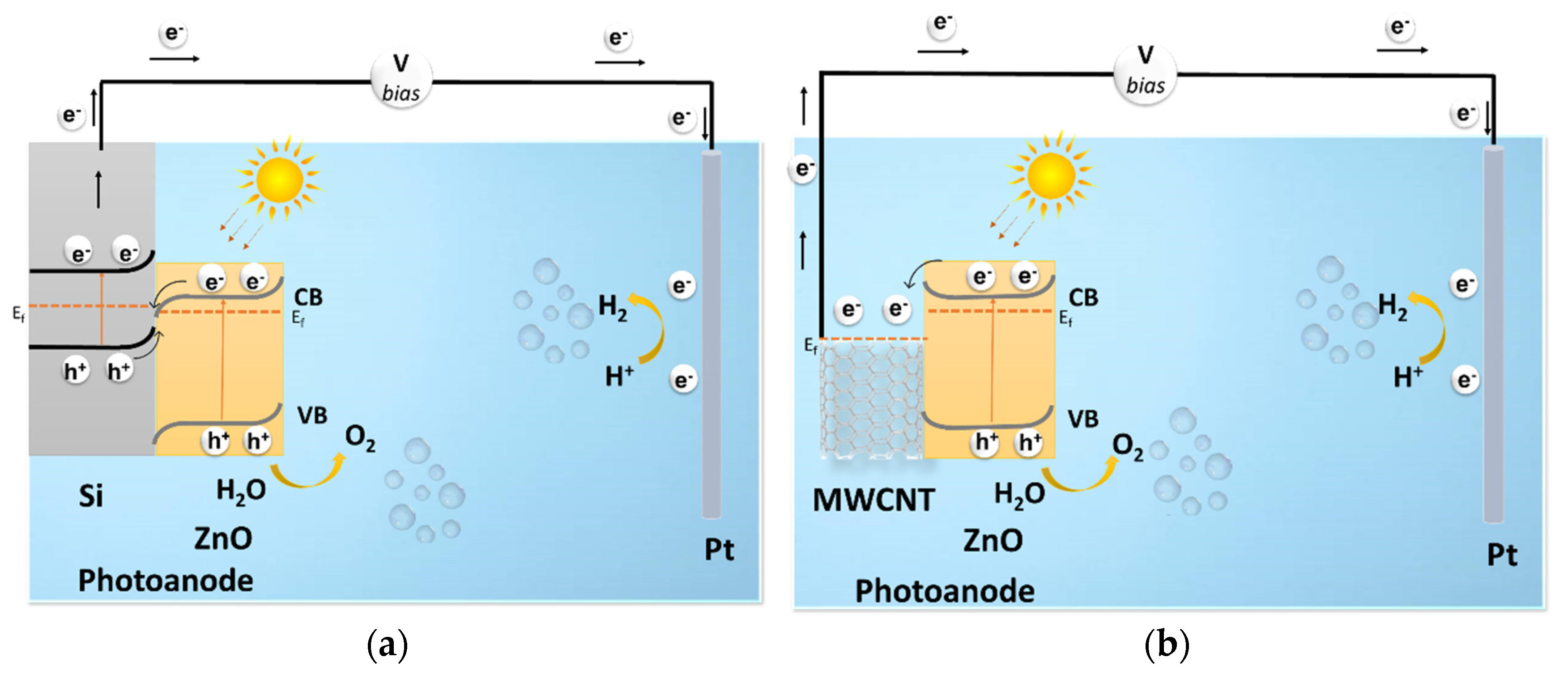 Coatings 12 00047 g006