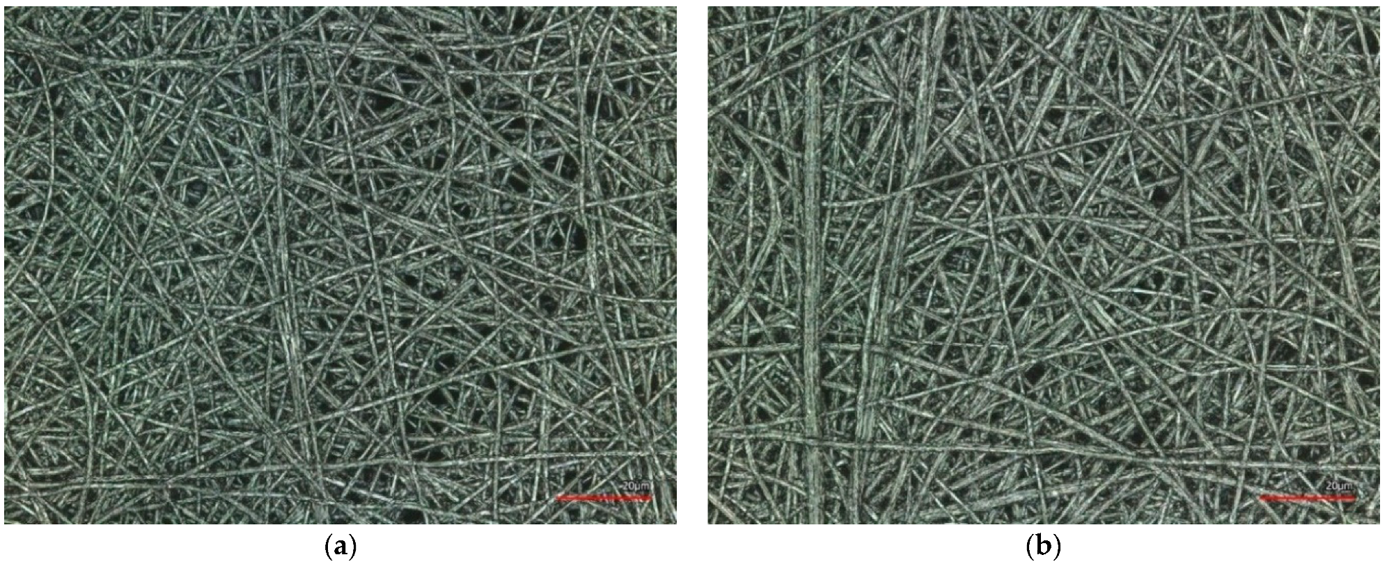 Coatings 12 00048 g011