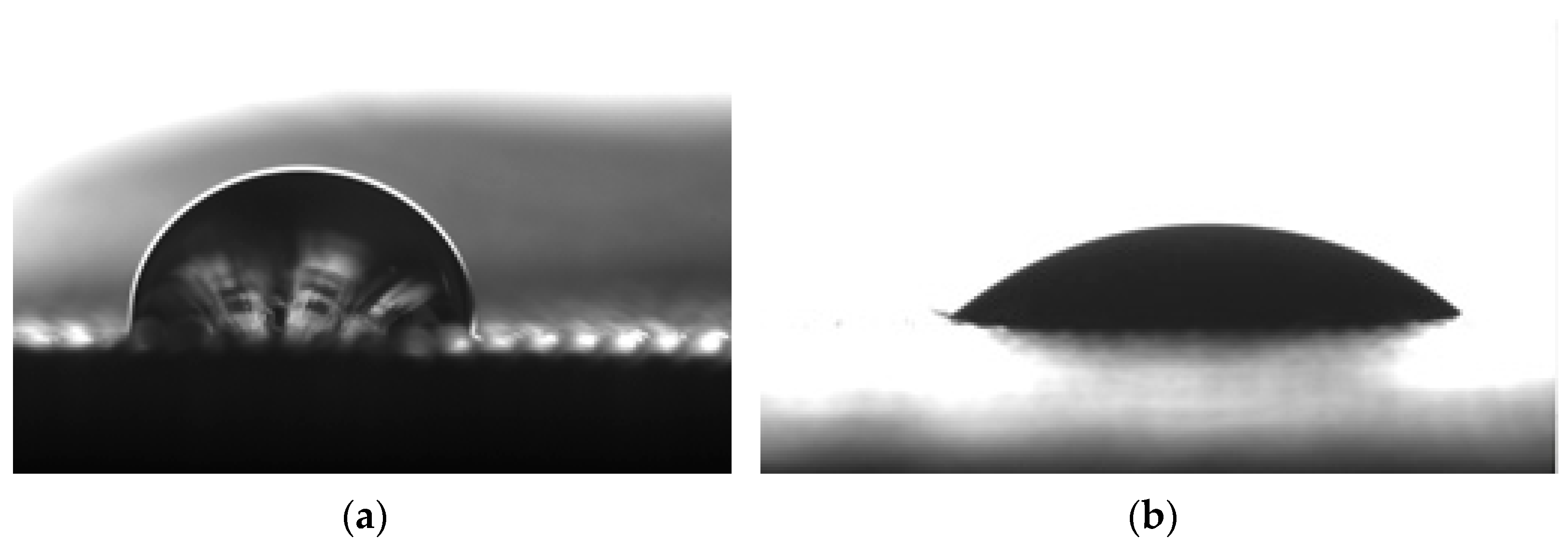 Coatings 12 00048 g016