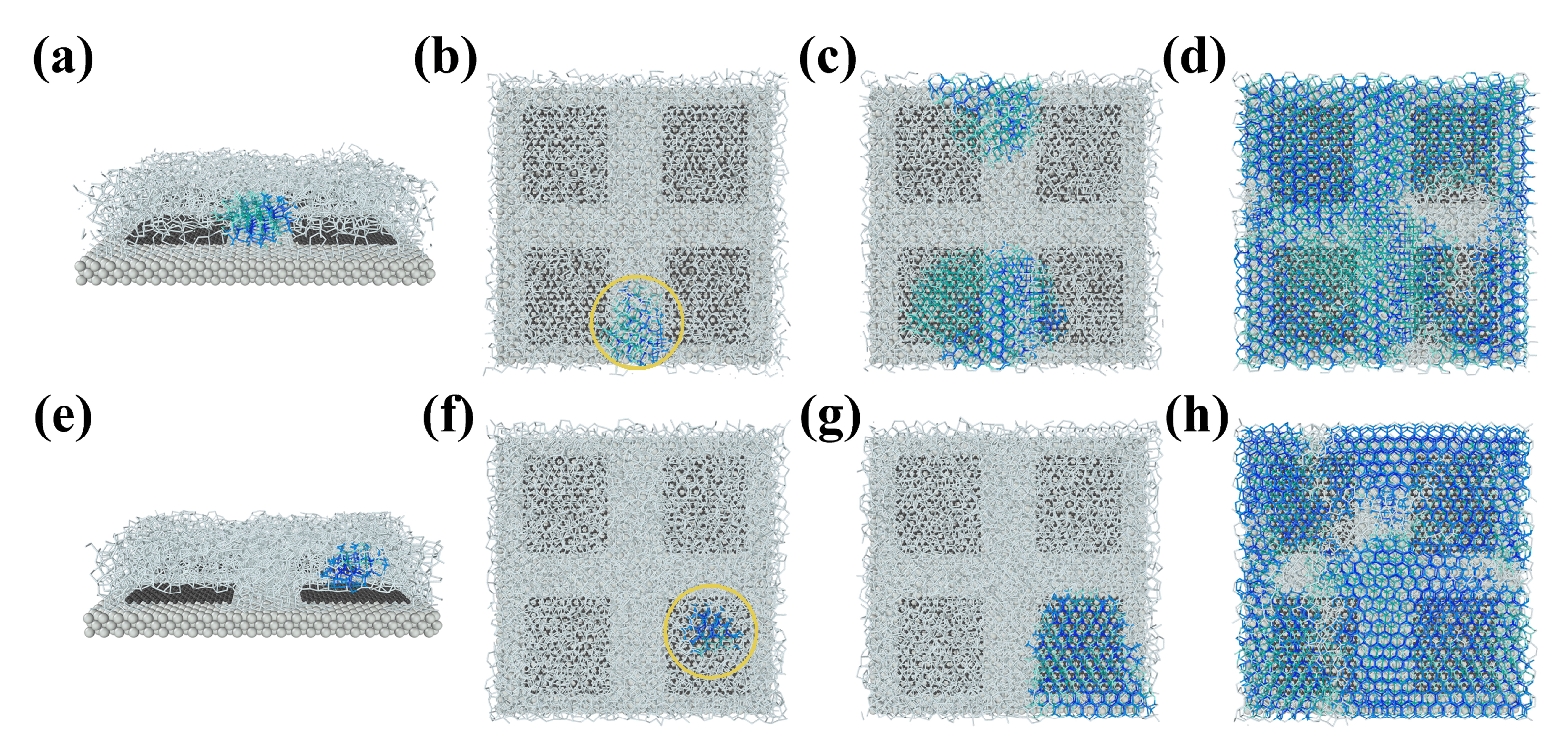 Coatings 12 00052 g004