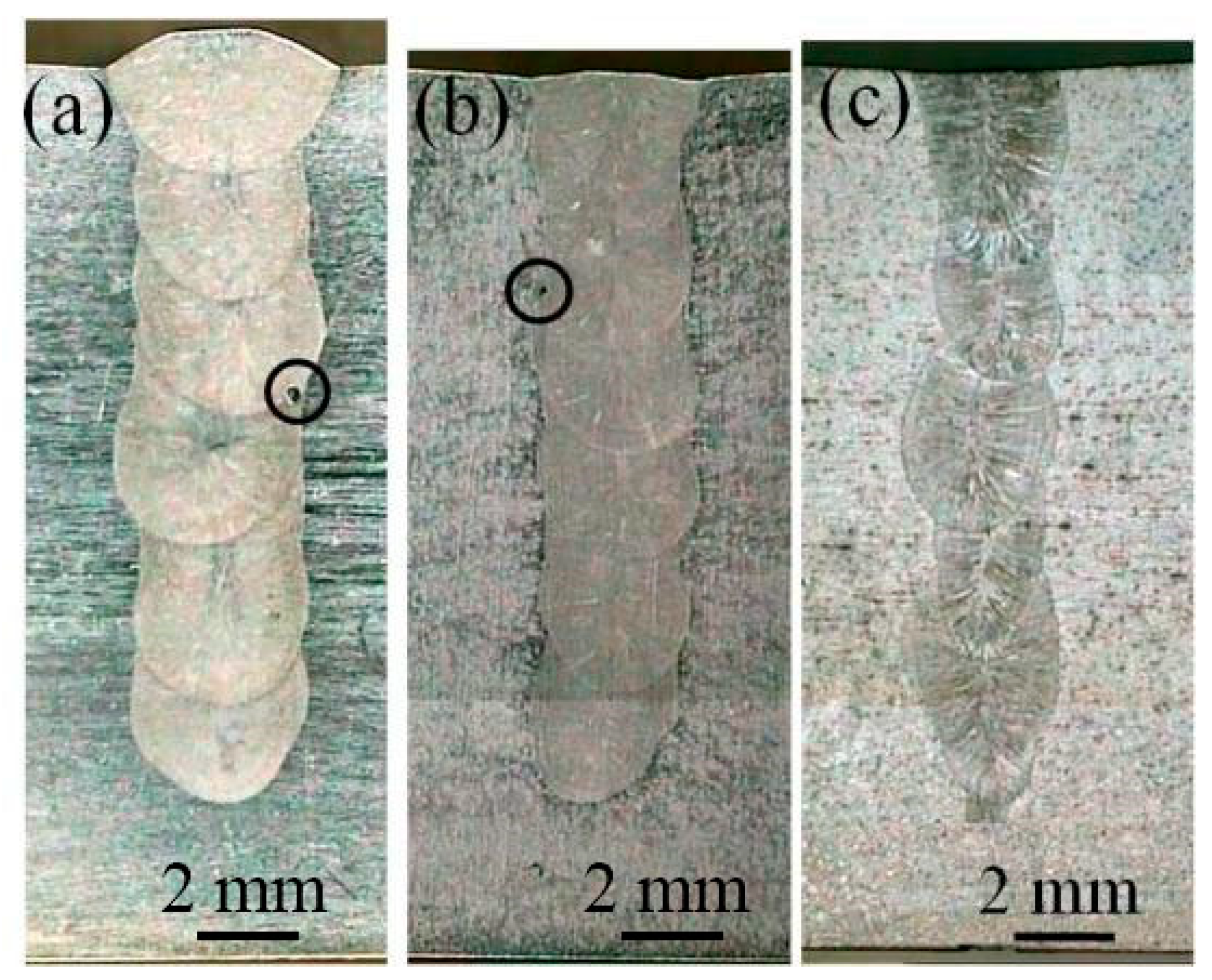 Coatings 12 00059 g005 Coatings 12 00059 g005