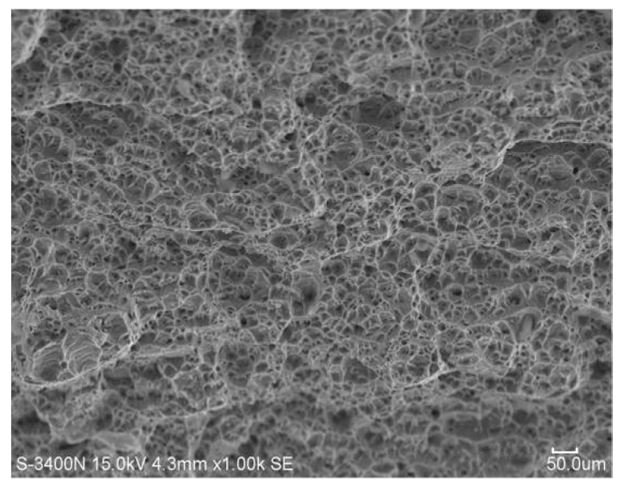 Coatings 12 00059 g012 Coatings 12 00059 g012