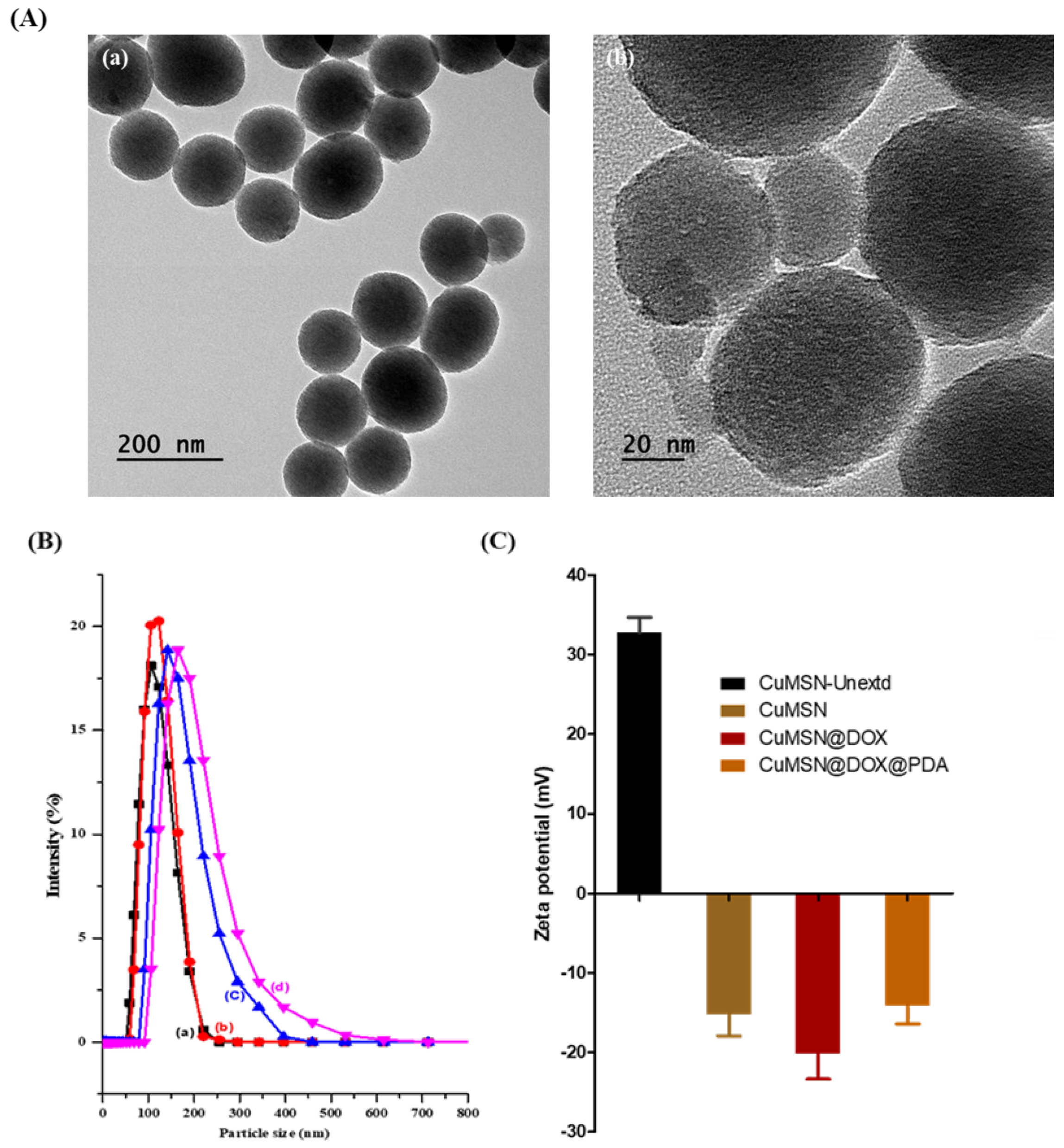 Coatings 12 00060 g002