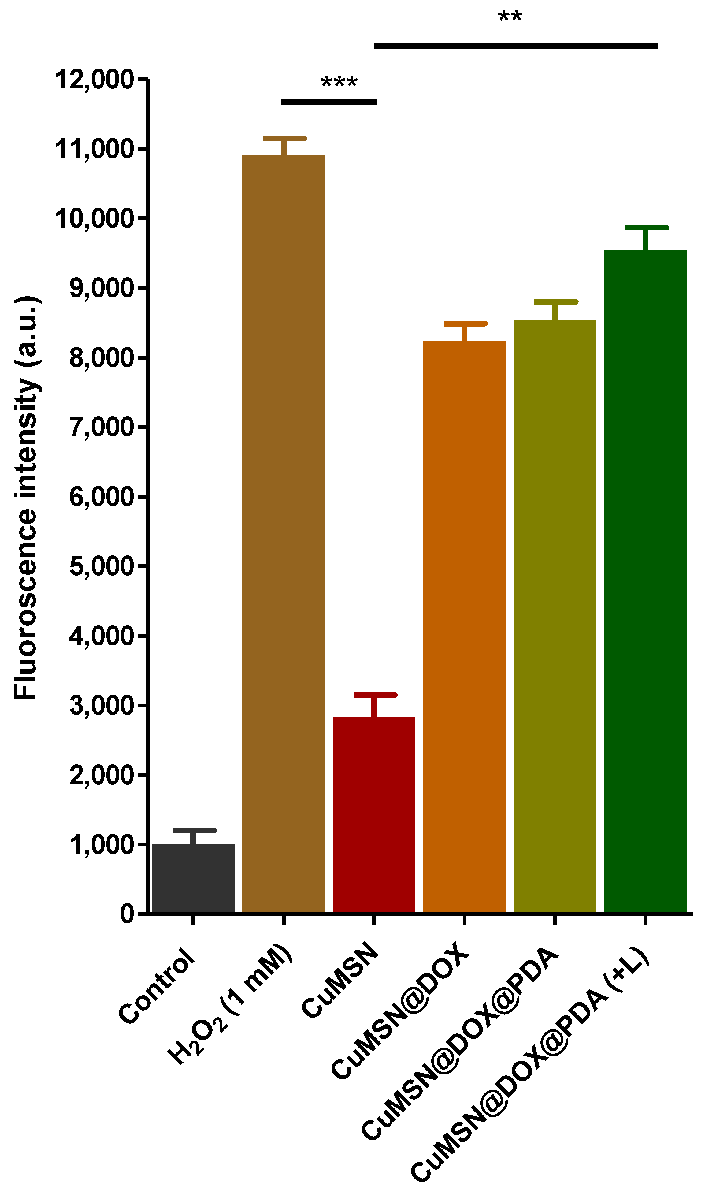 Coatings 12 00060 g007