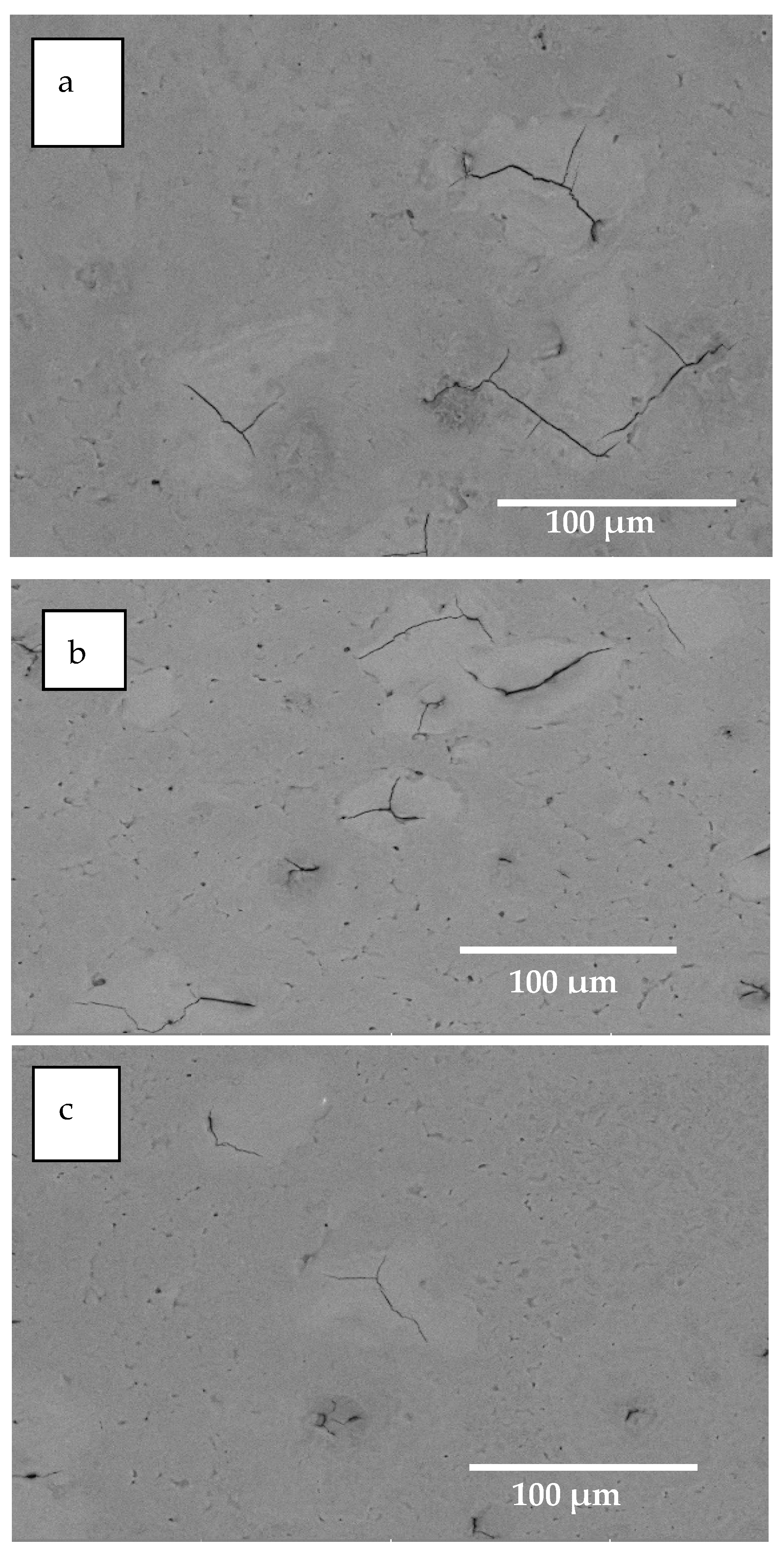 Coatings 12 00061 g003