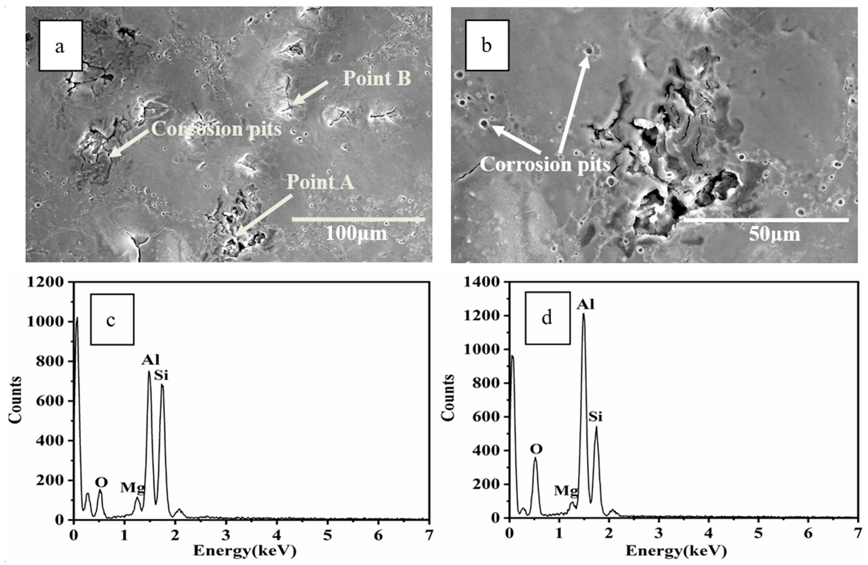 Coatings 12 00061 g010