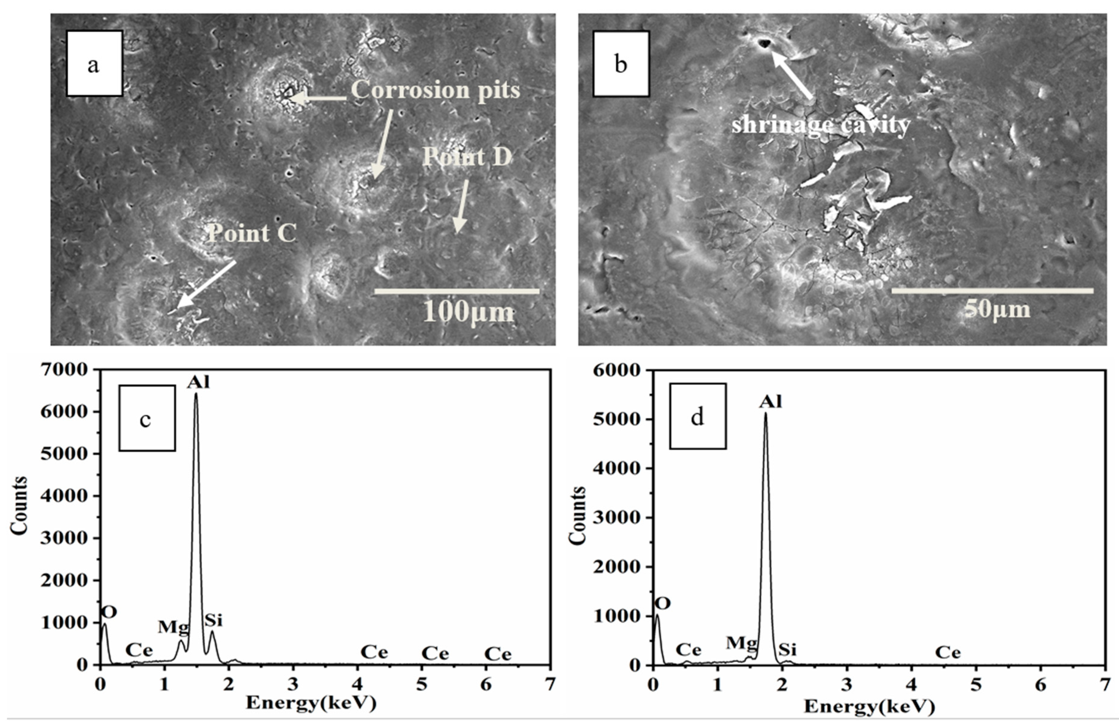 Coatings 12 00061 g011