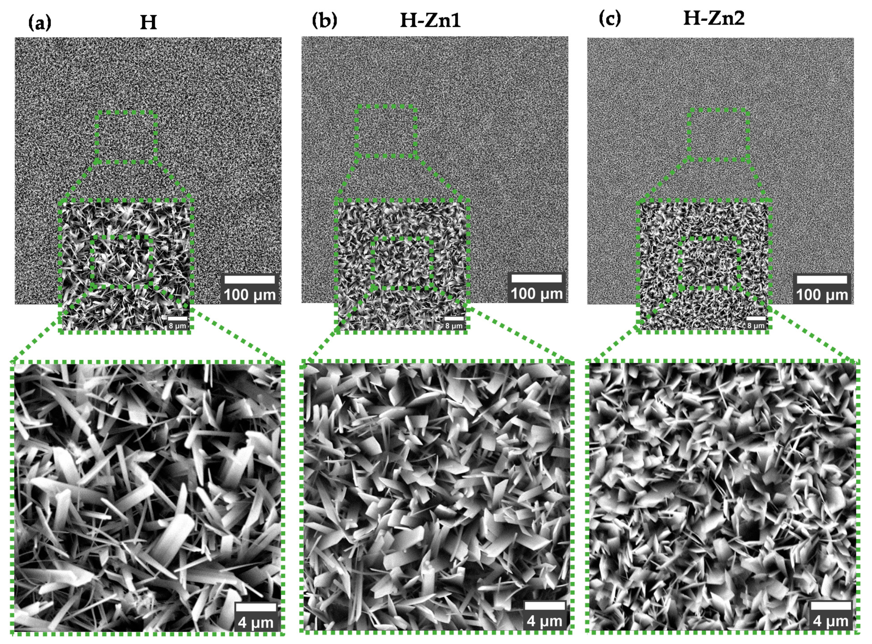 Coatings 12 00069 g002
