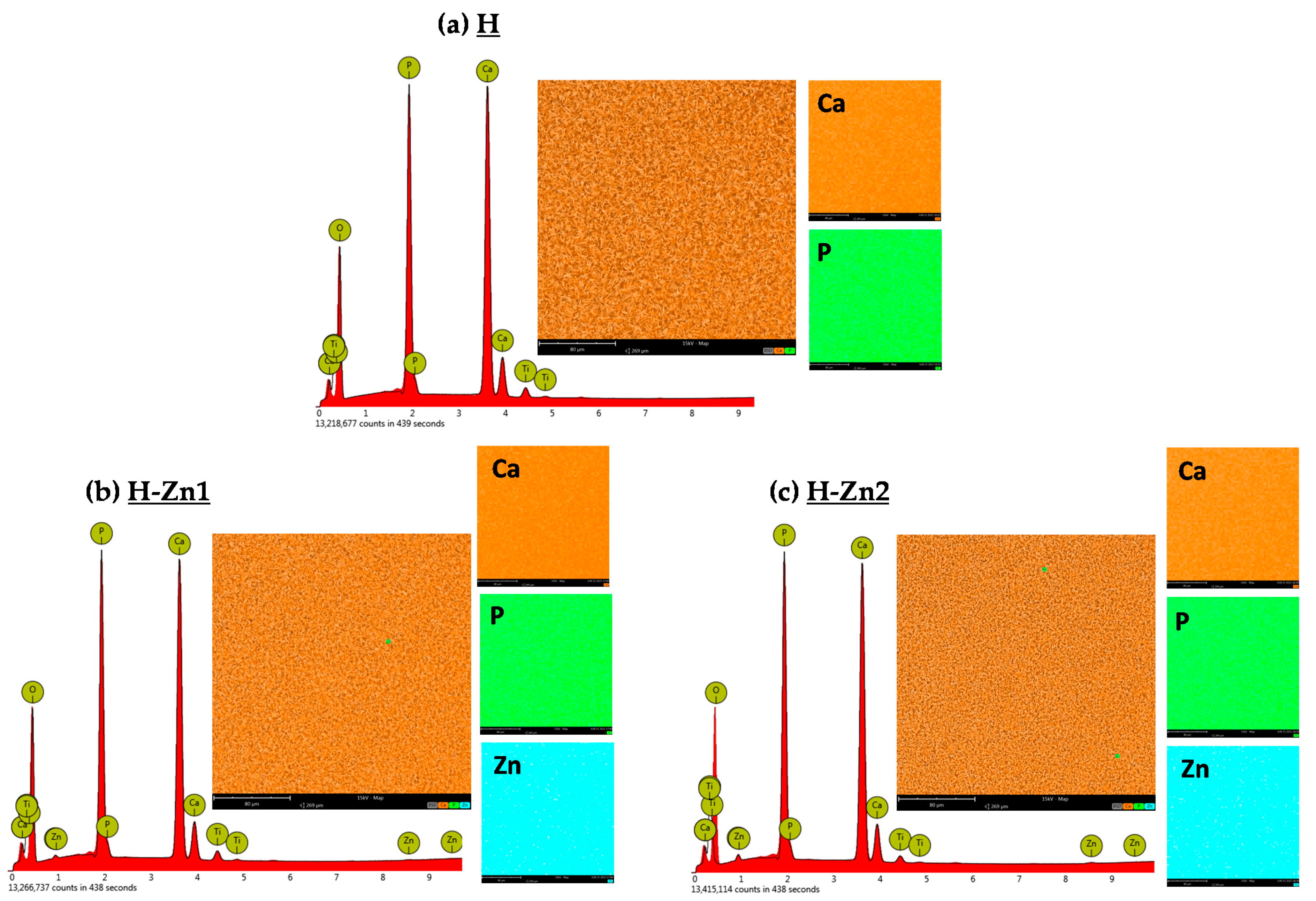 Coatings 12 00069 g003