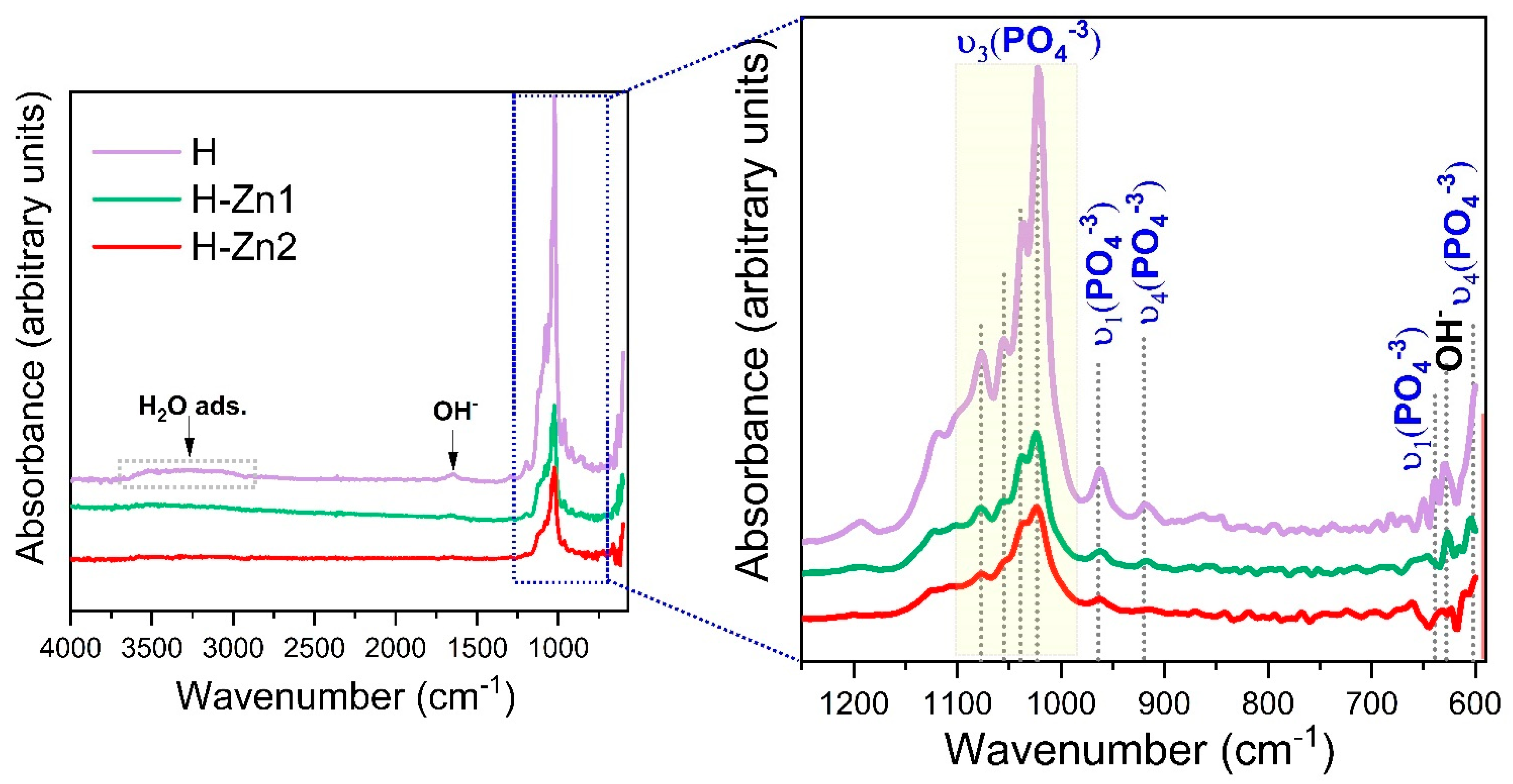 Coatings 12 00069 g006