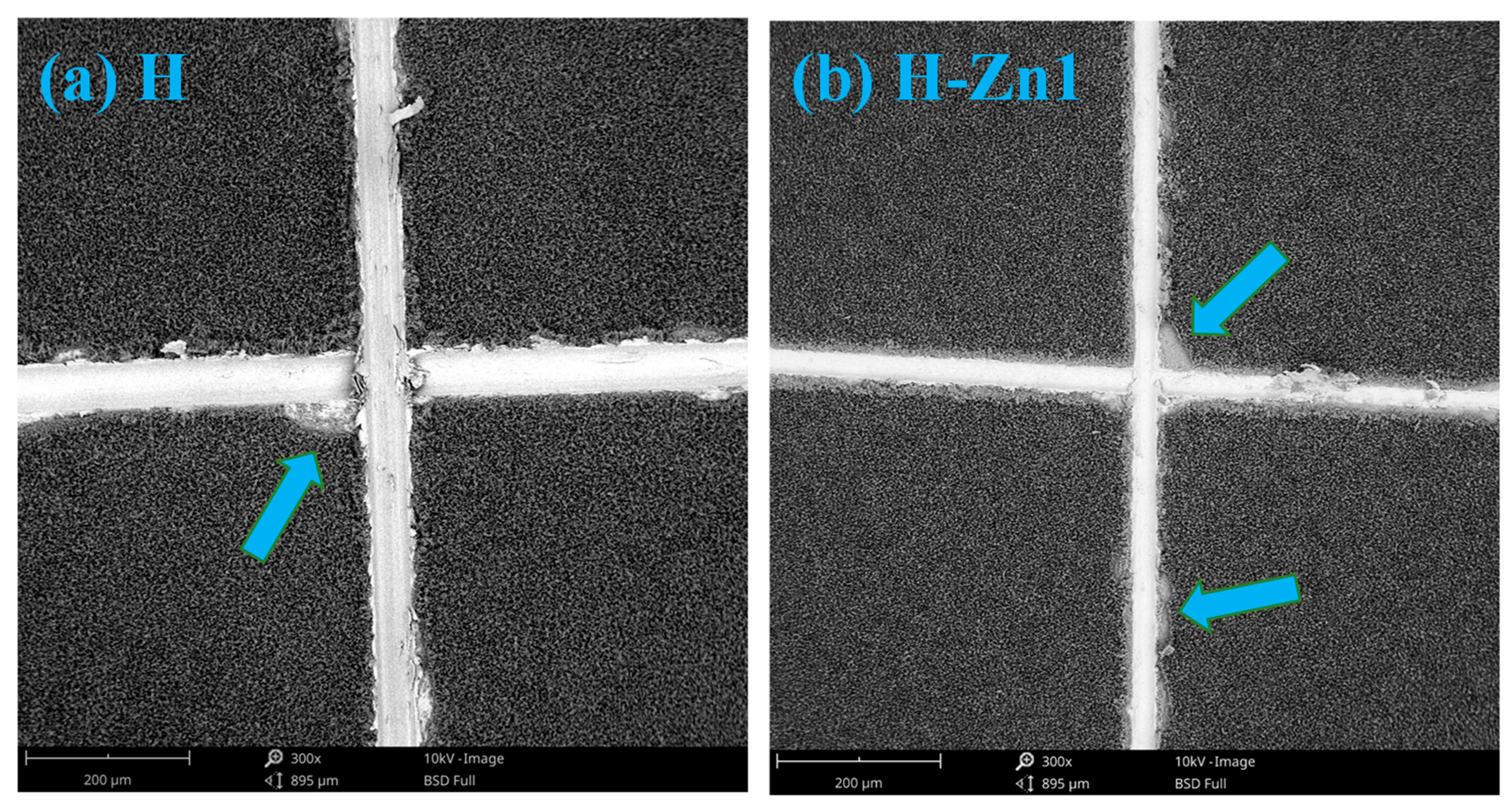 Coatings 12 00069 g007a