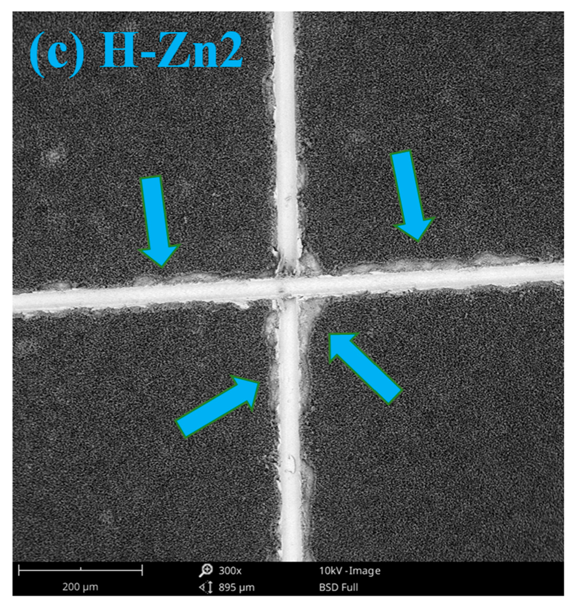 Coatings 12 00069 g007b