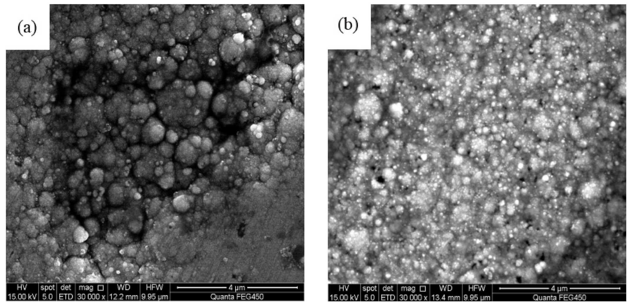 Coatings 12 00086 g004a