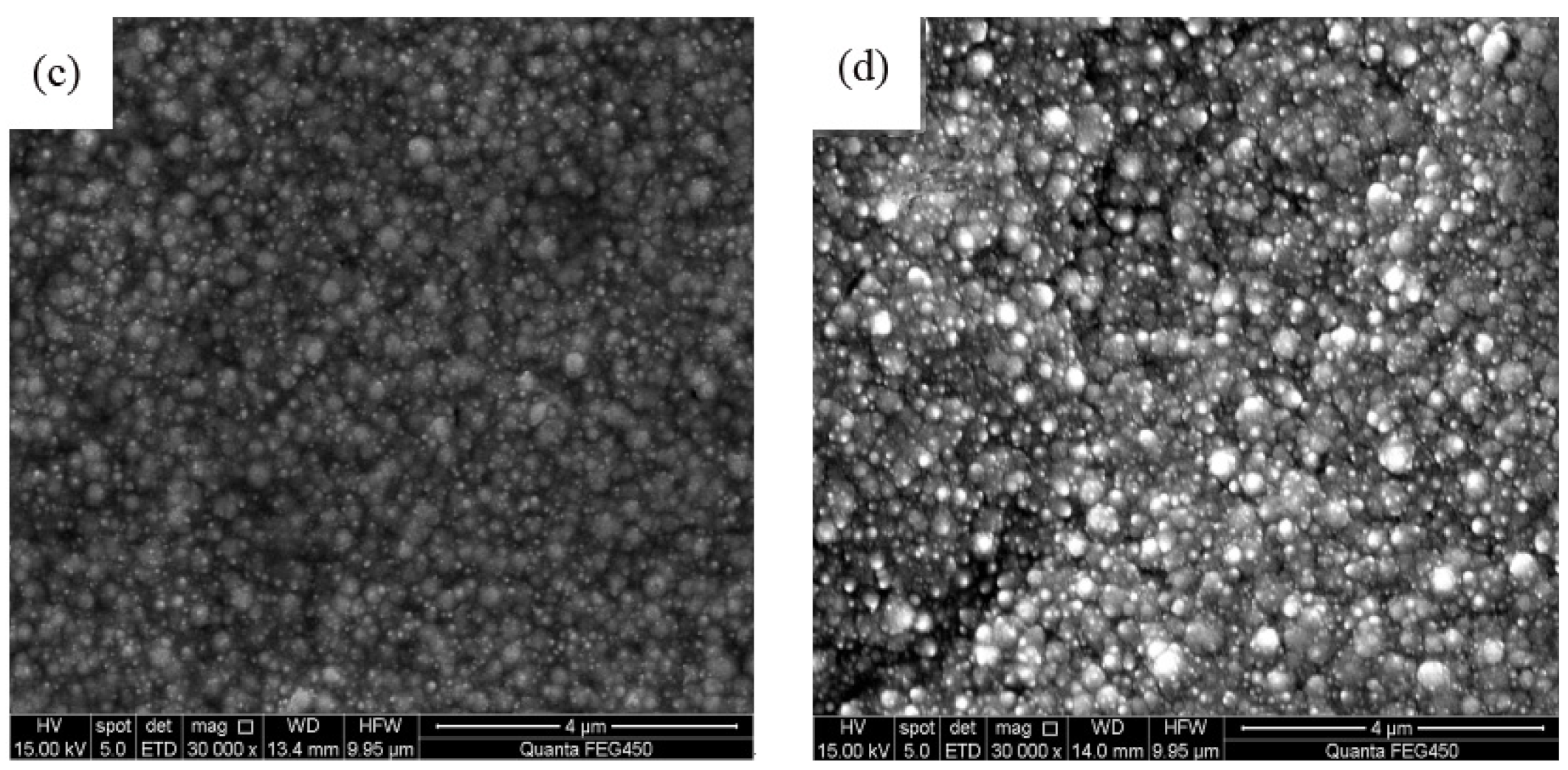 Coatings 12 00086 g004b