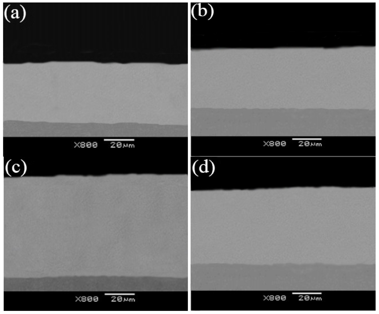 Coatings 12 00086 g006