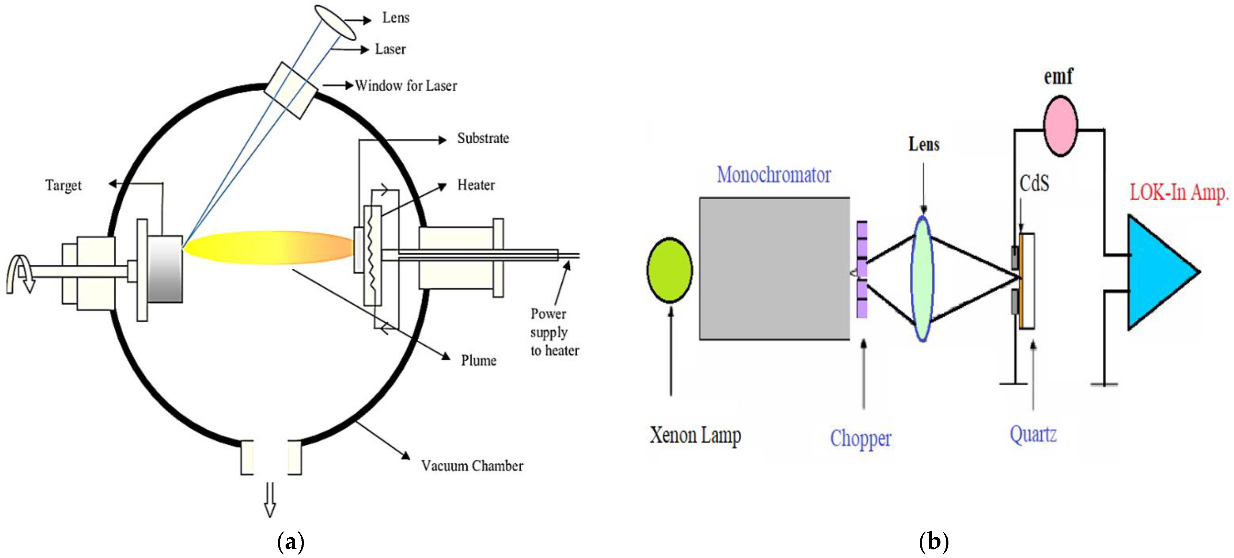 Coatings 12 00087 g001
